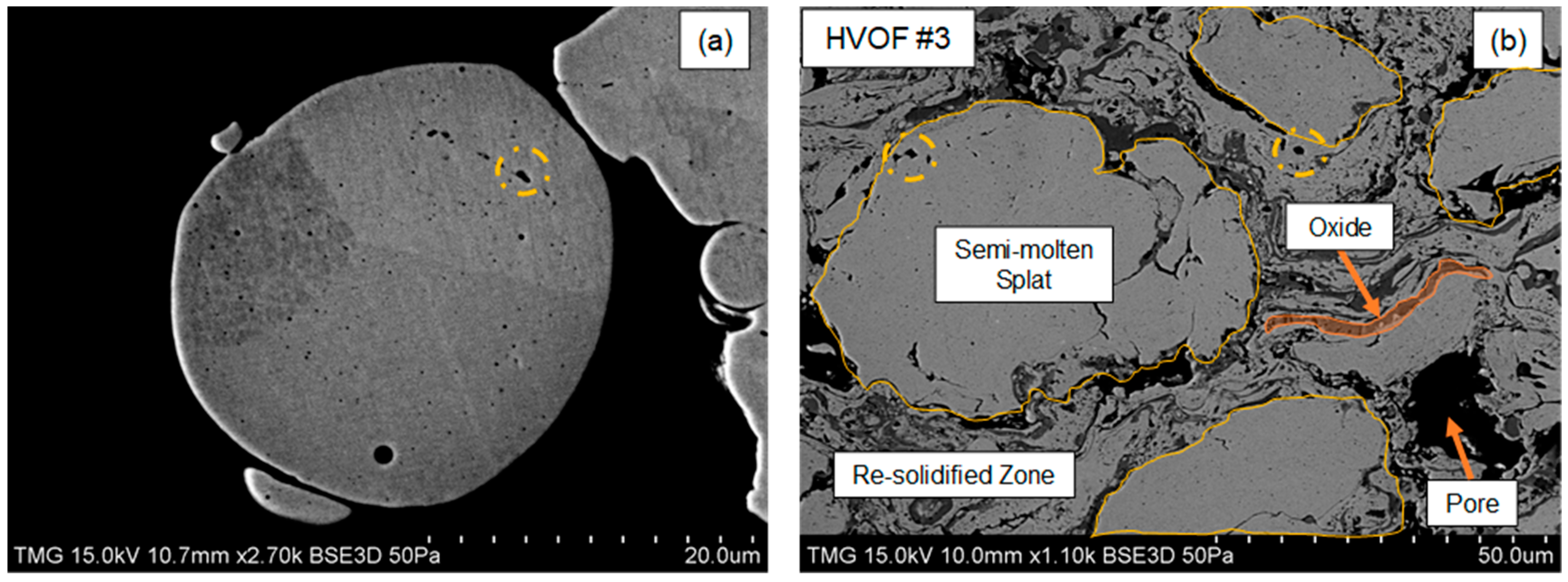 Coatings 09 00835 g003