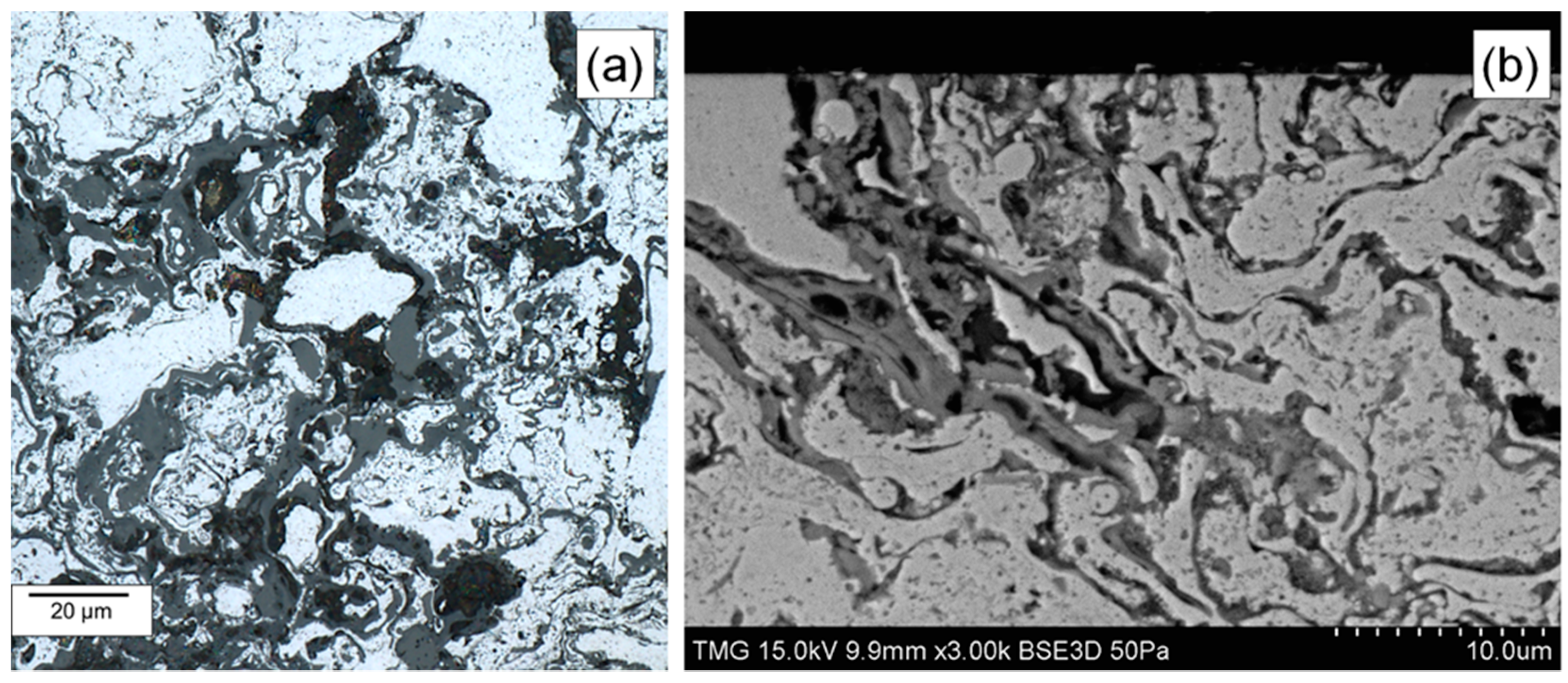 Coatings 09 00835 g008