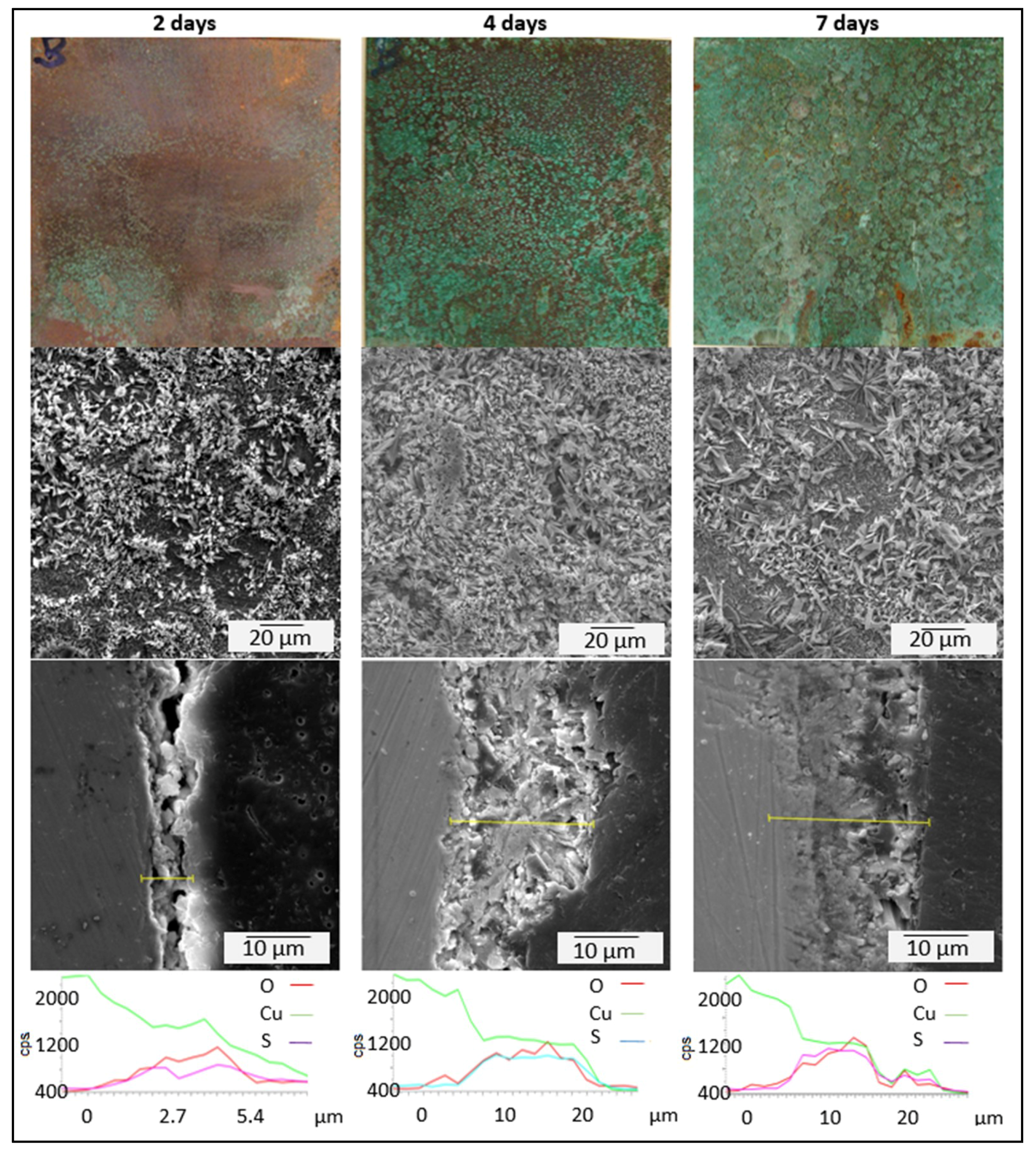 Coatings 09 00837 g012 Coatings 09 00837 g012