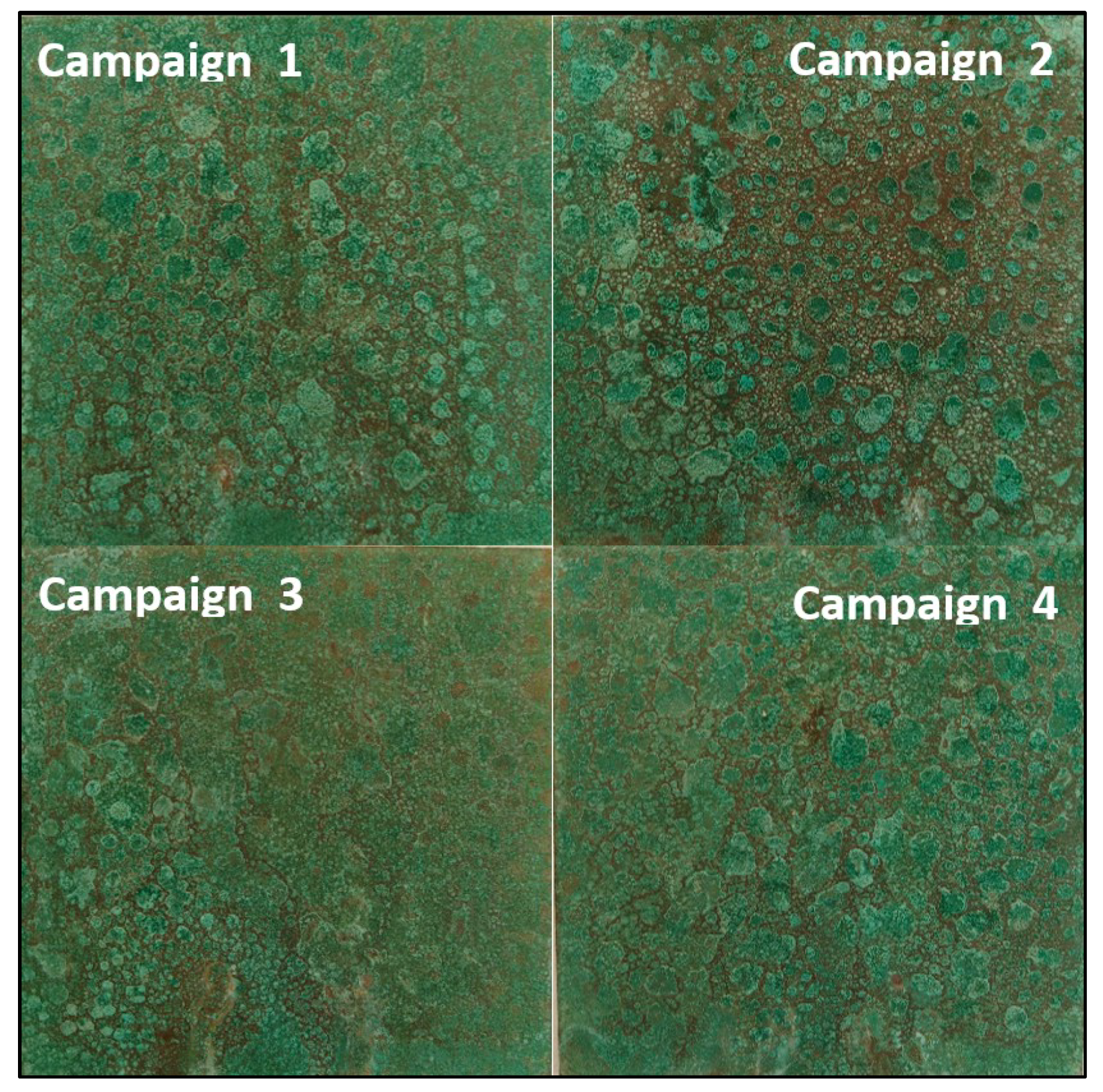 Coatings 09 00837 g014 Coatings 09 00837 g014