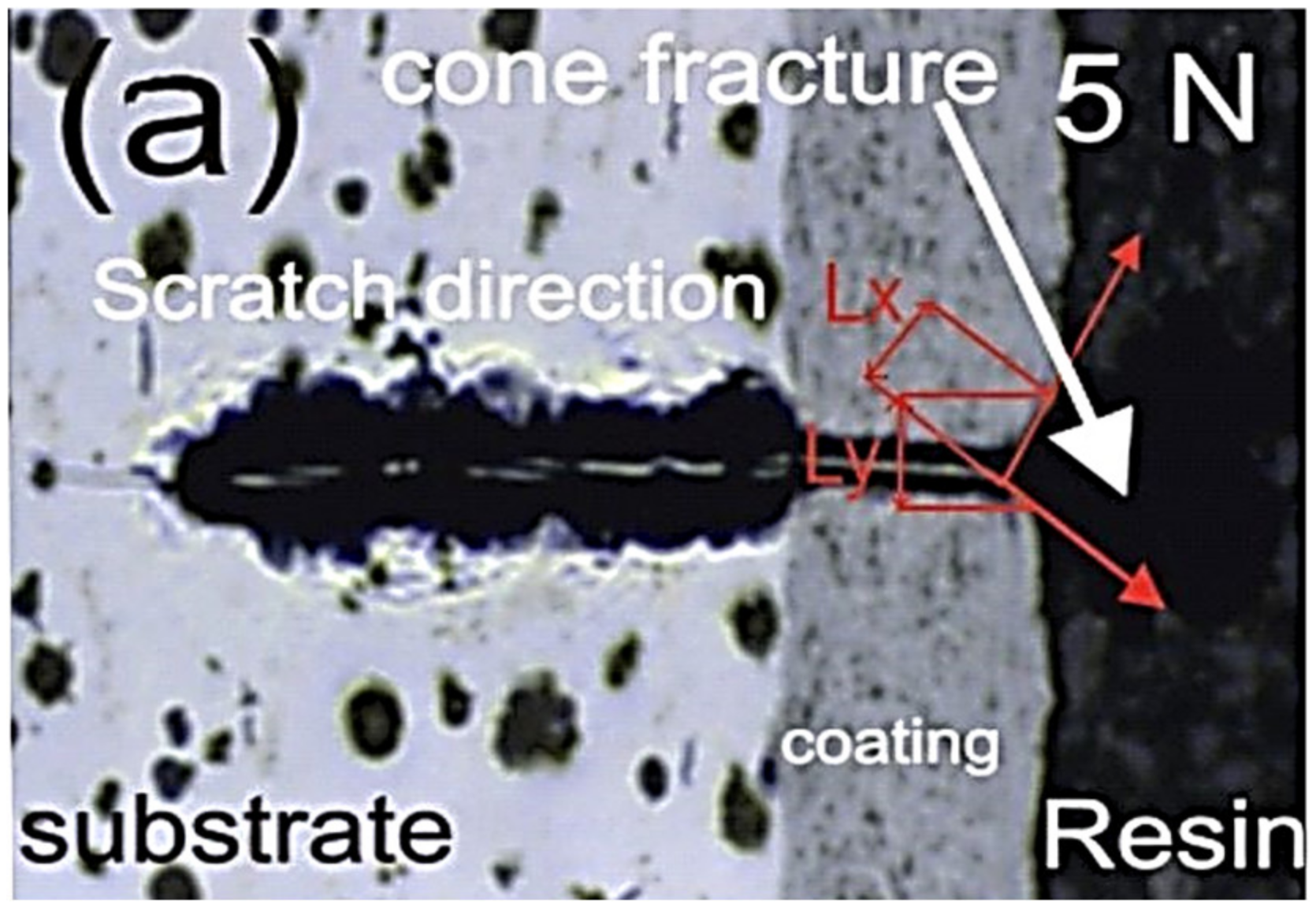 Coatings 09 00840 g001