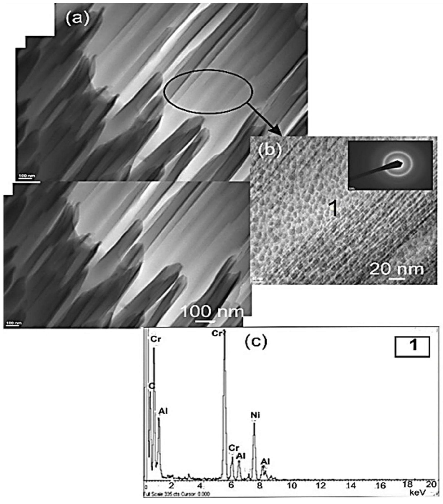 Coatings 09 00840 g004