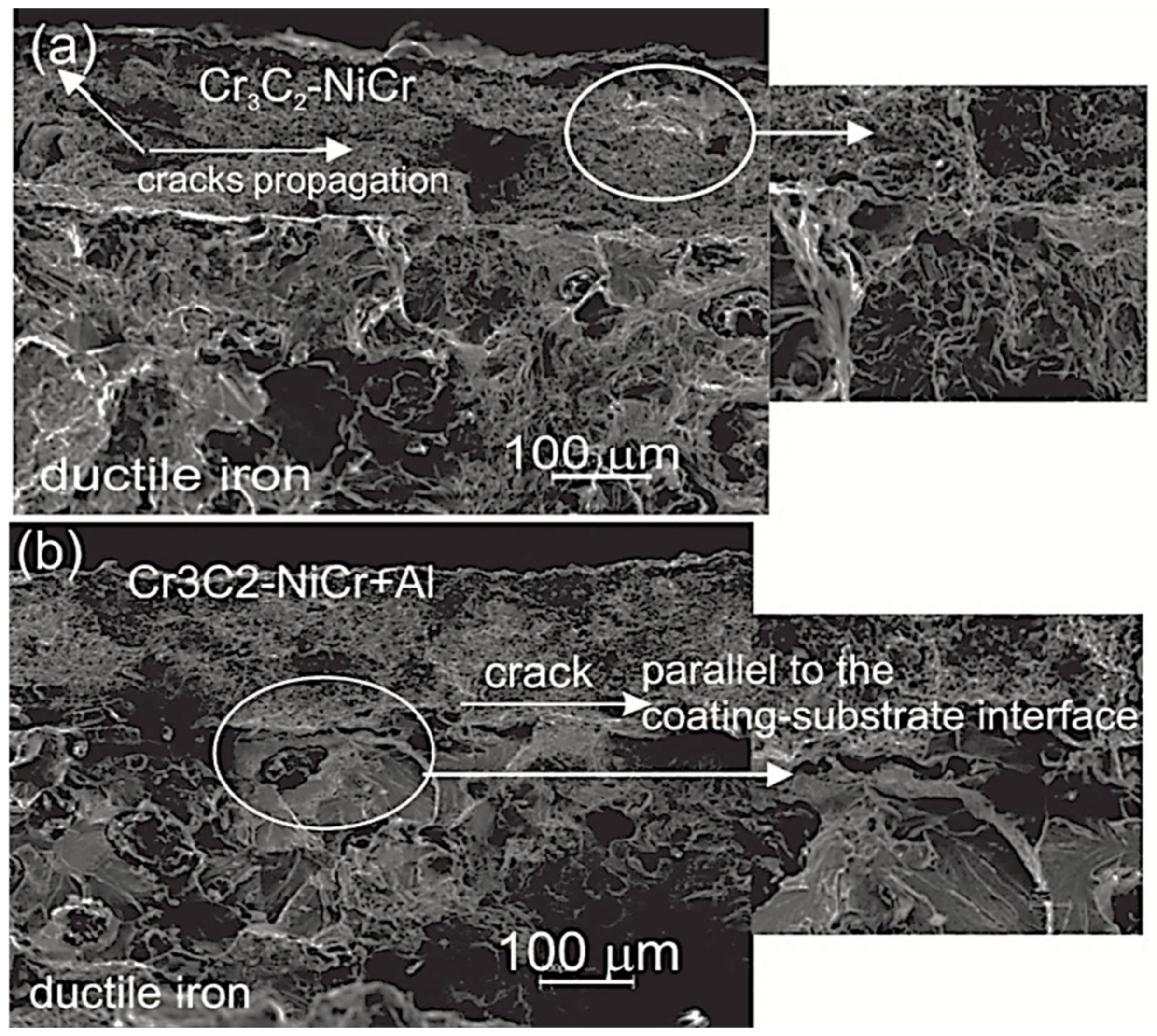 Coatings 09 00840 g009