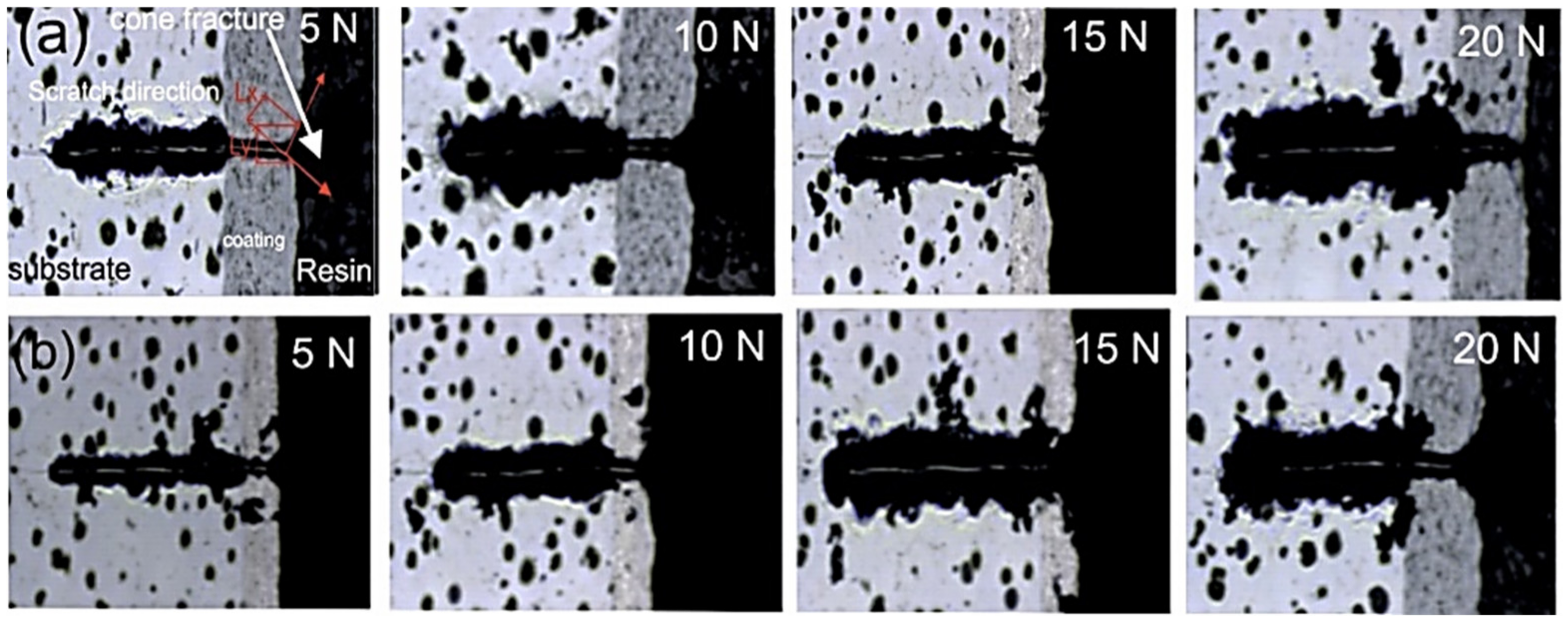 Coatings 09 00840 g010