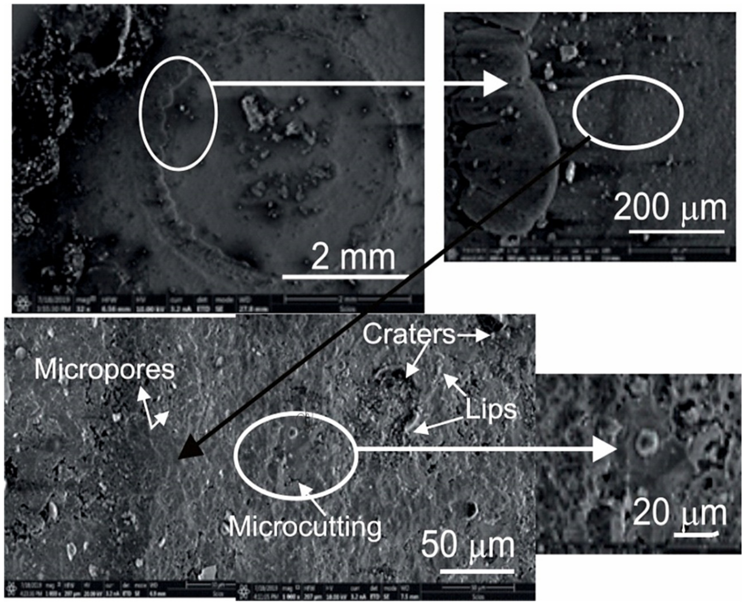 Coatings 09 00840 g012