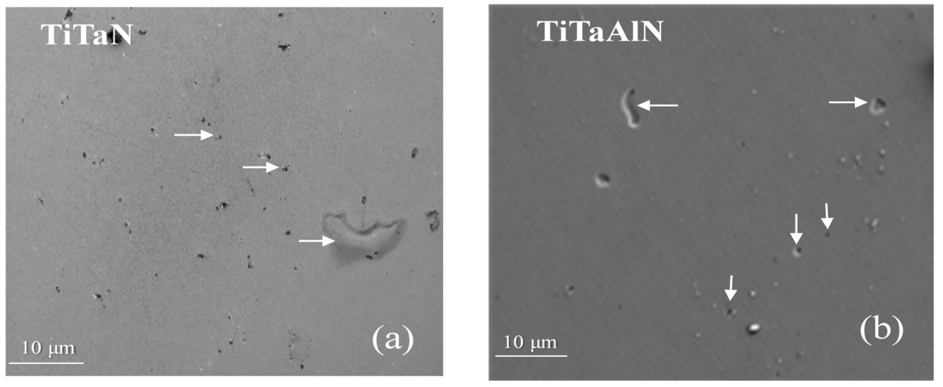 Coatings 09 00841 g009 Coatings 09 00841 g009
