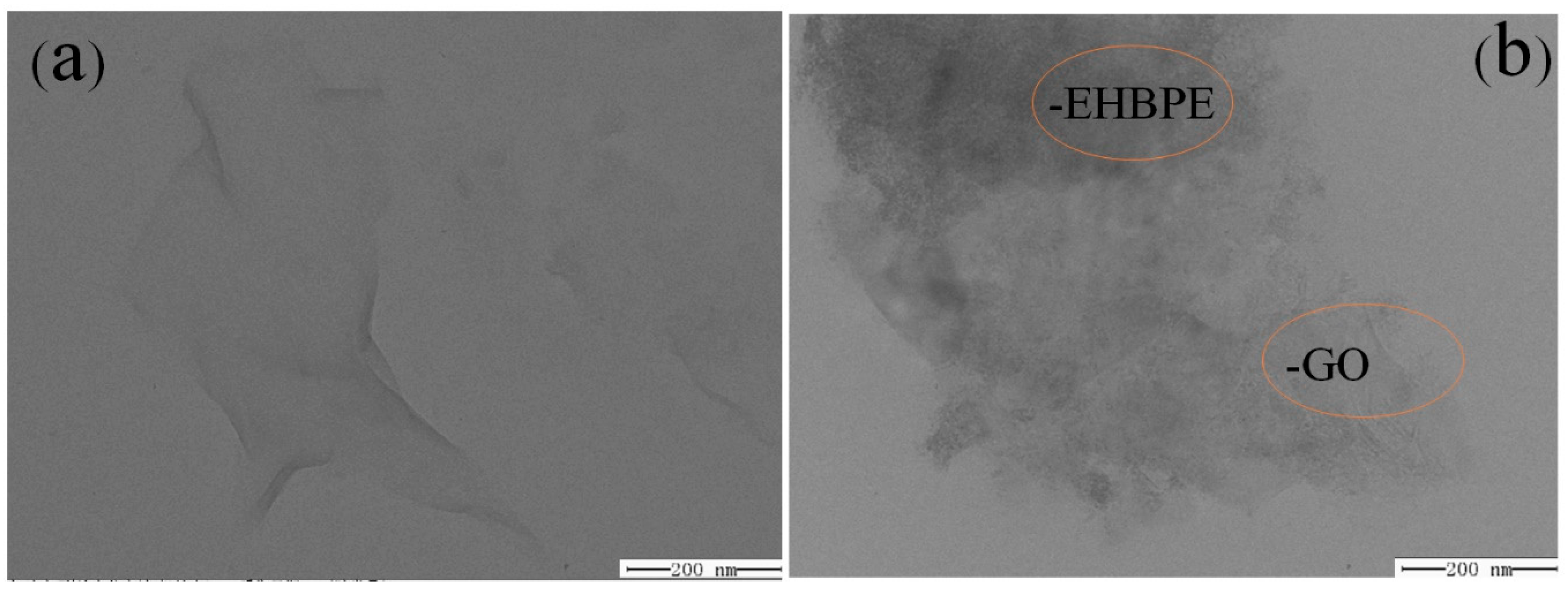 Coatings 09 00844 g004