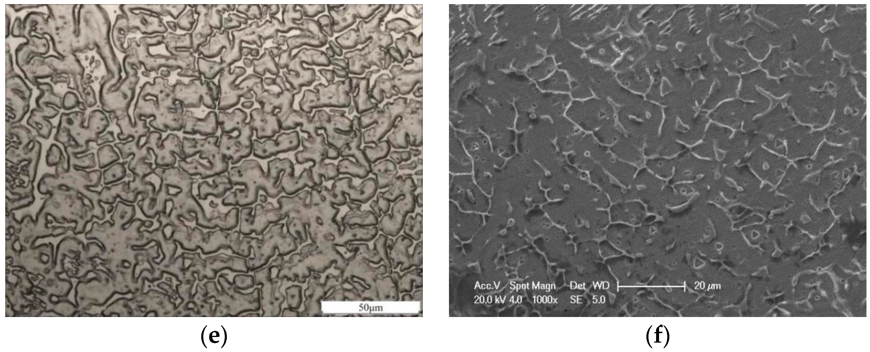 Coatings 09 00848 g005b Coatings 09 00848 g005b