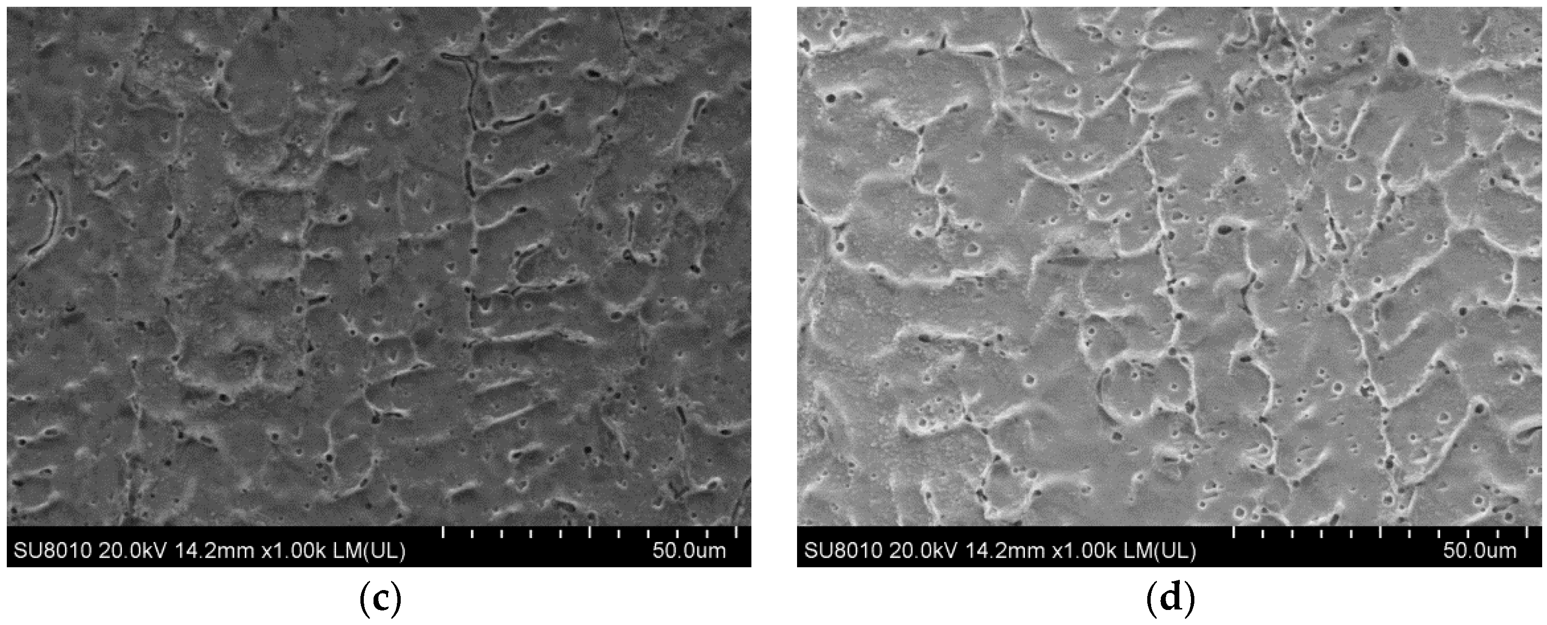 Coatings 09 00848 g006b Coatings 09 00848 g006b