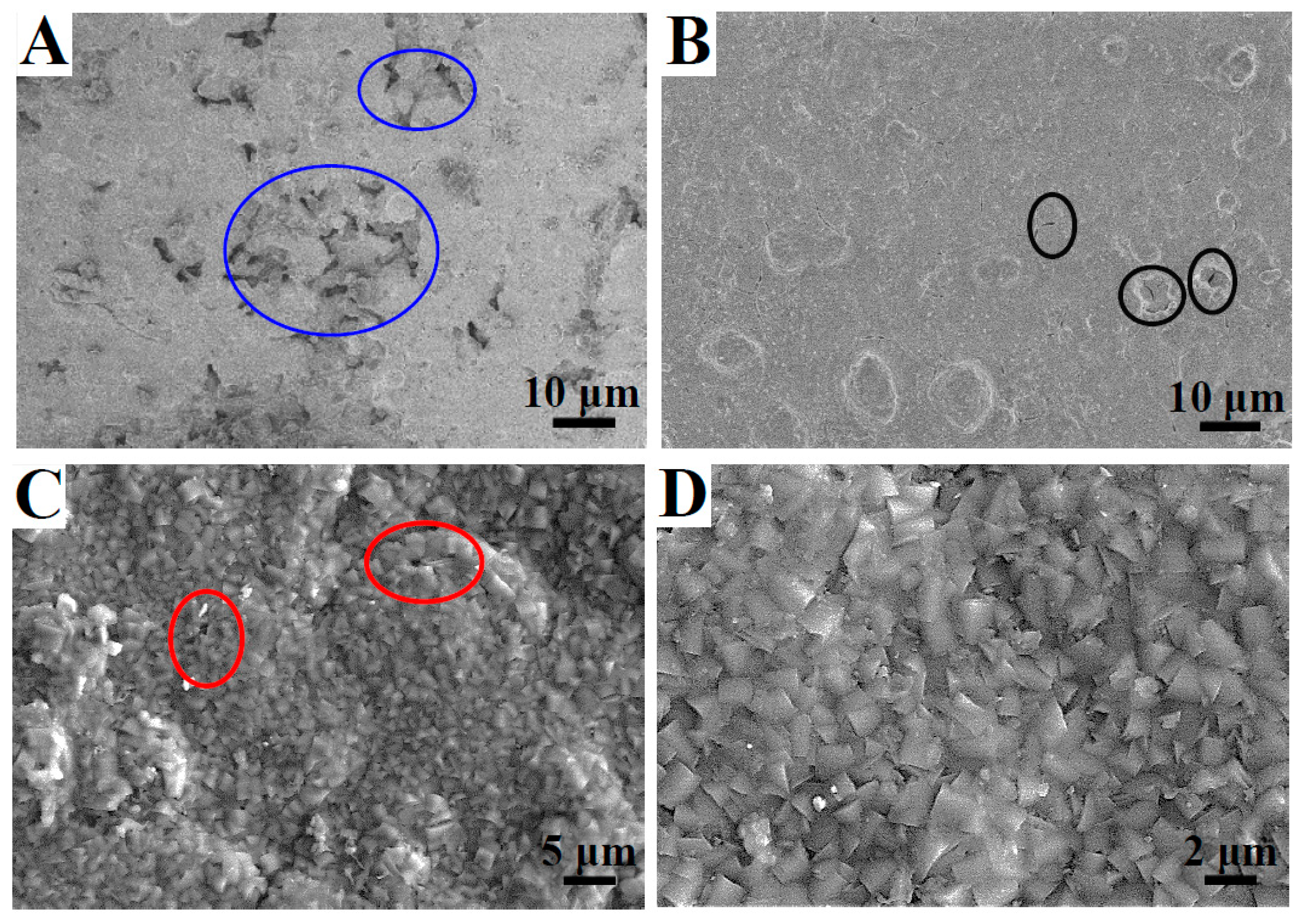 Coatings 09 00850 g004a Coatings 09 00850 g004a