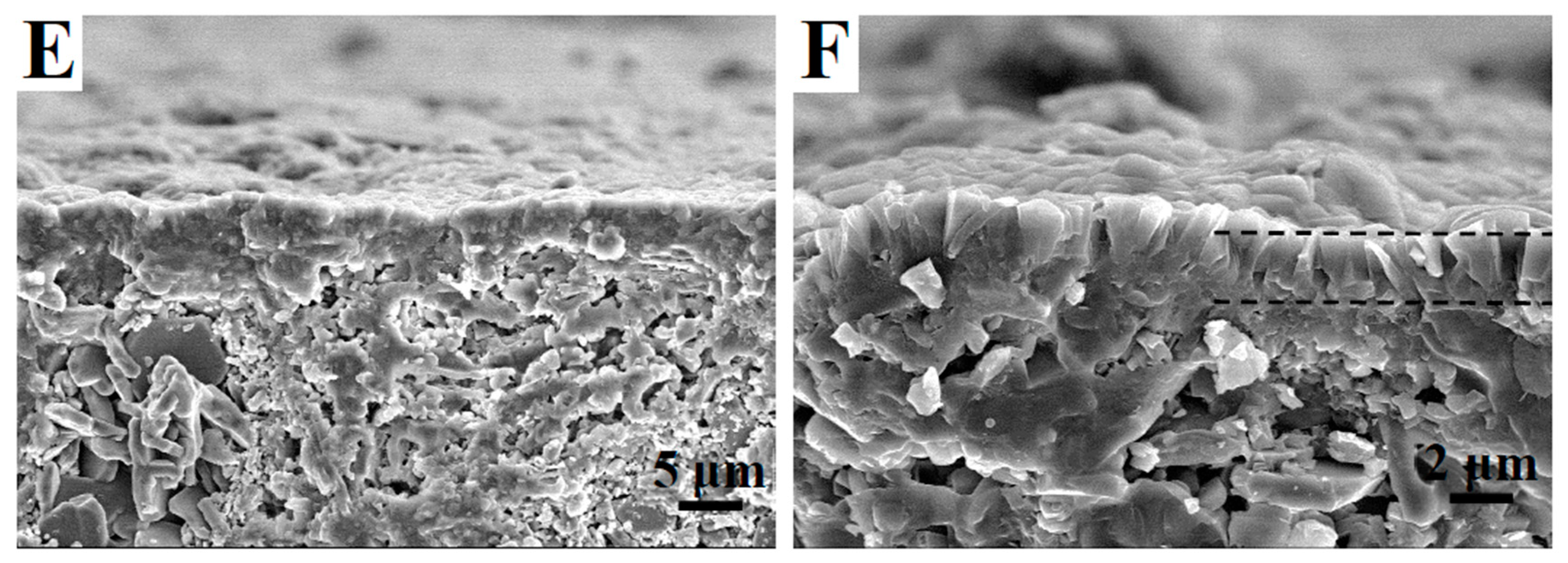 Coatings 09 00850 g004b Coatings 09 00850 g004b