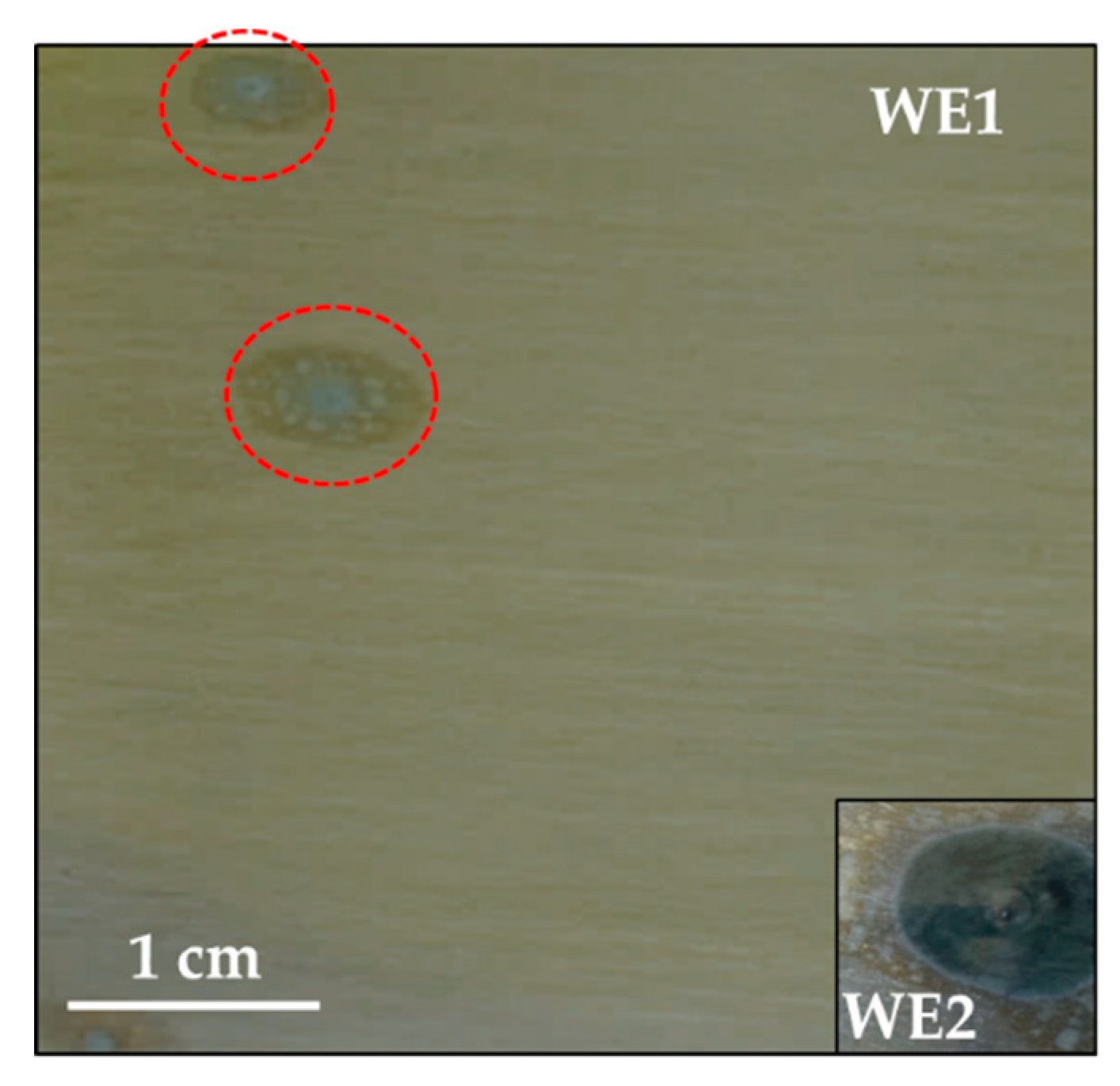 Coatings 09 00852 g005 Coatings 09 00852 g005