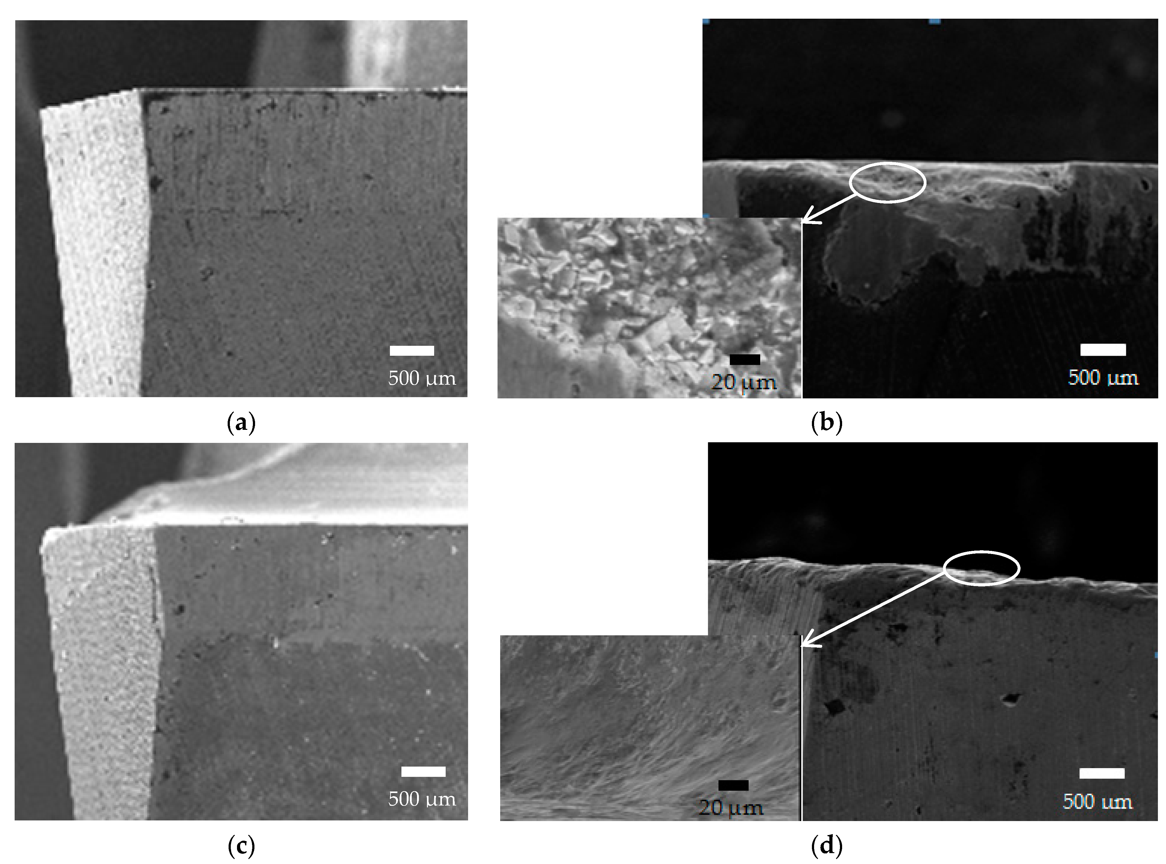 Coatings 09 00853 g009