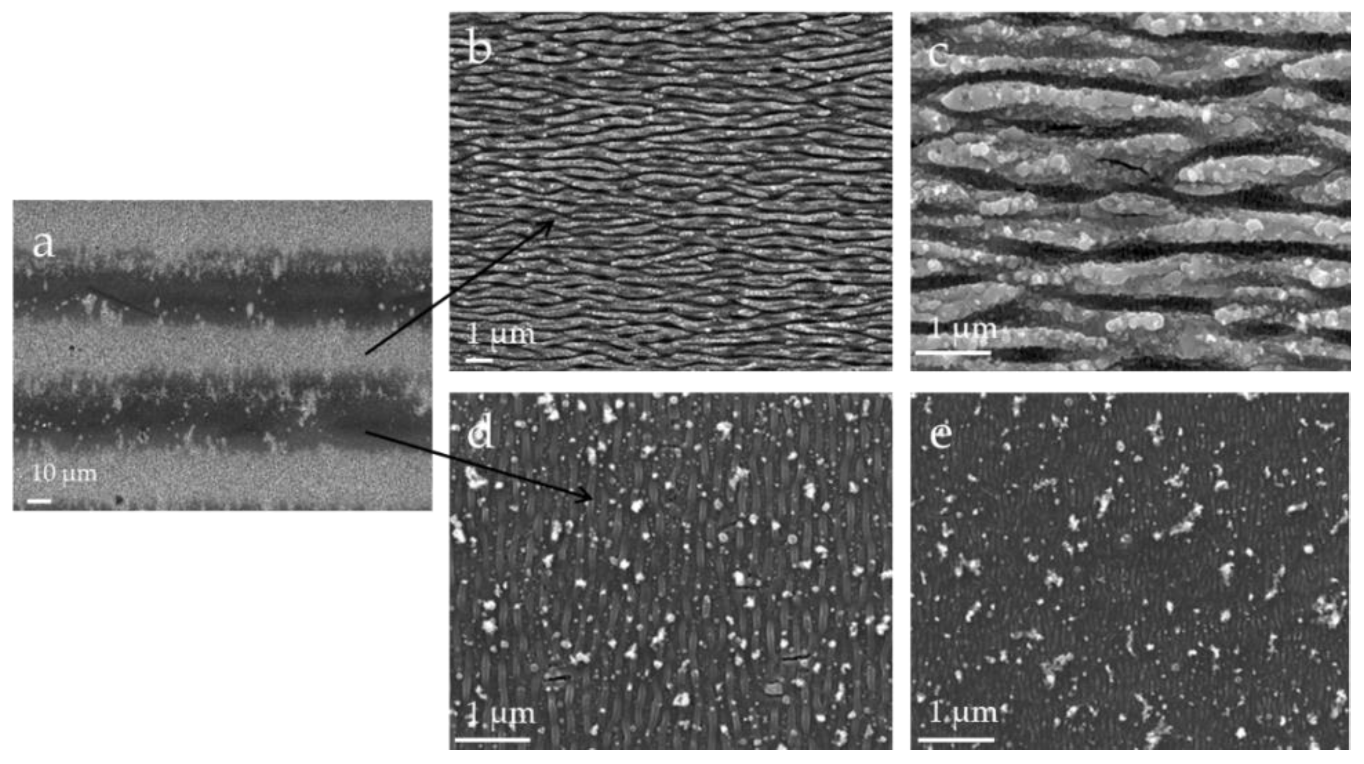Coatings 09 00854 g002