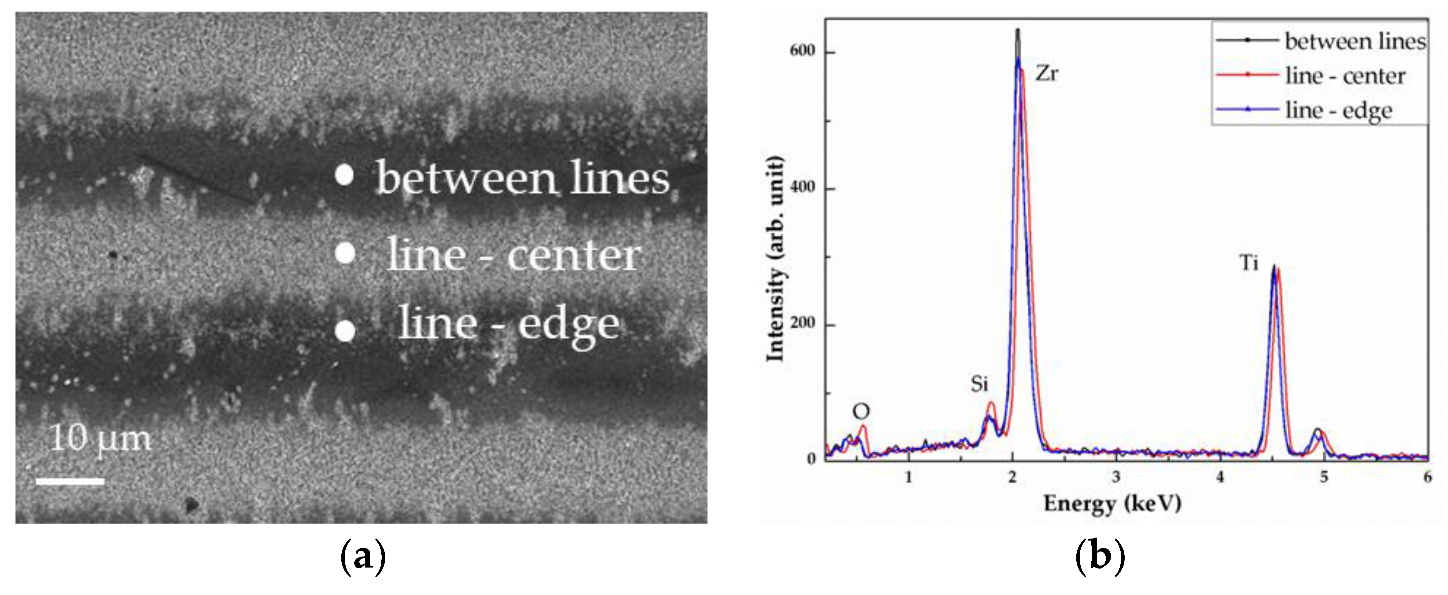 Coatings 09 00854 g003
