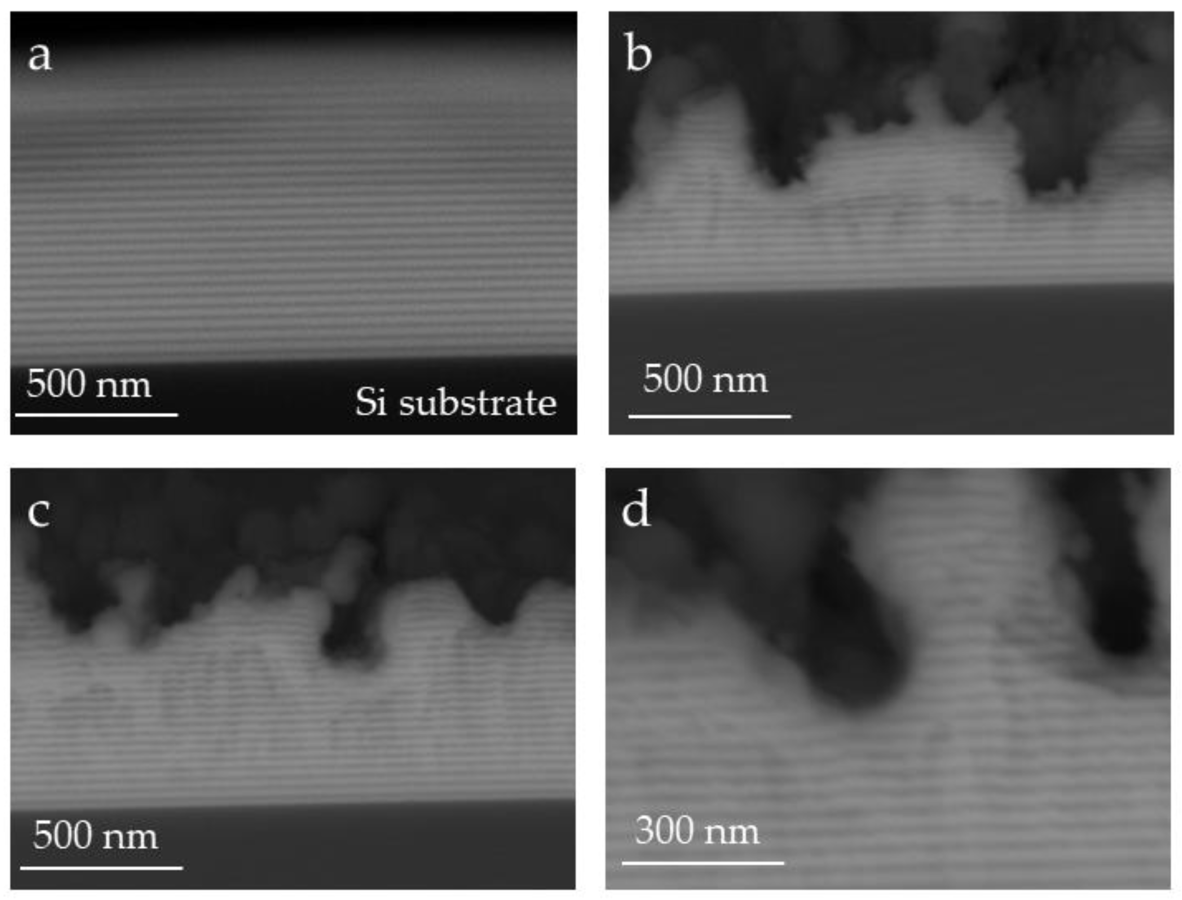 Coatings 09 00854 g004
