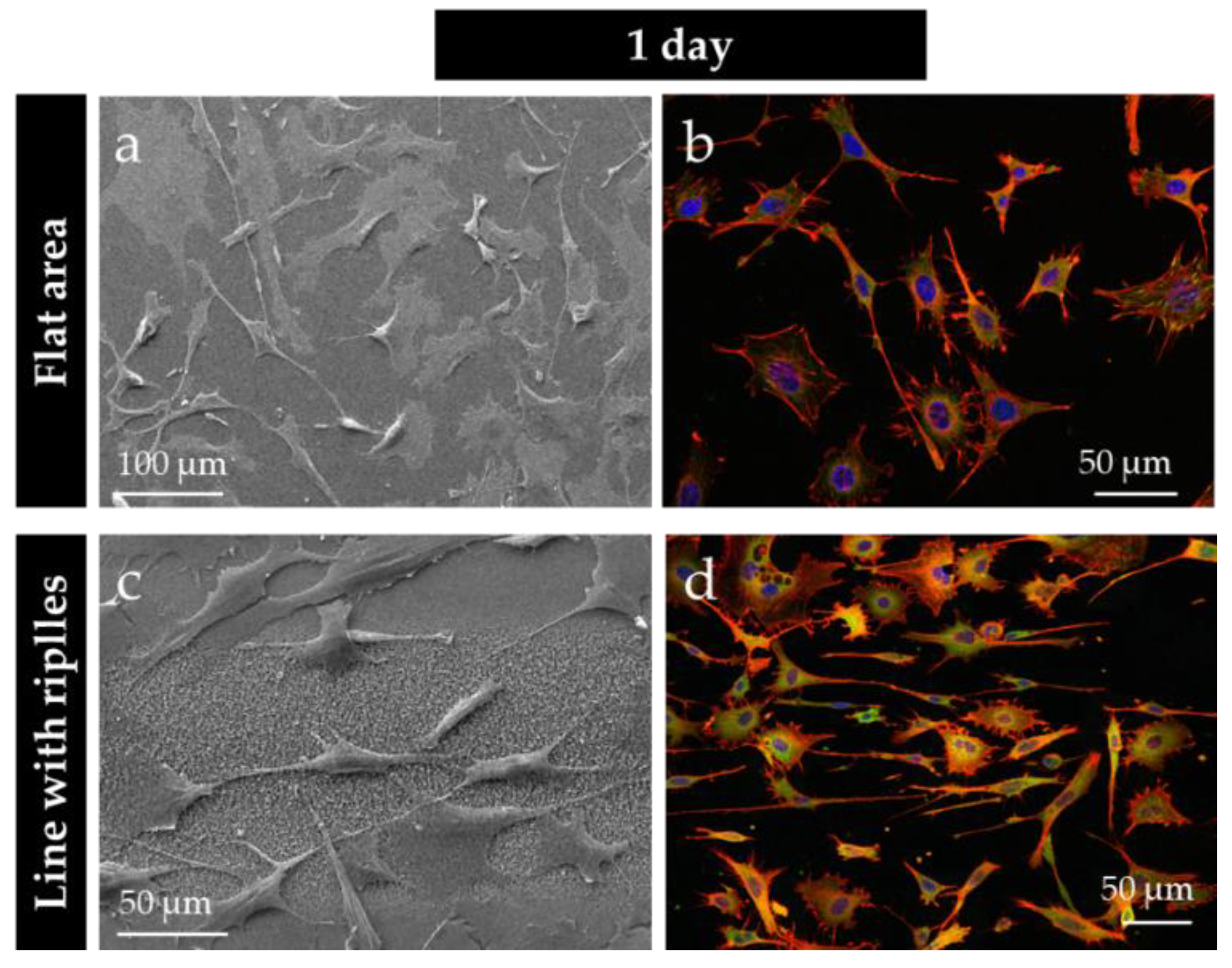 Coatings 09 00854 g008