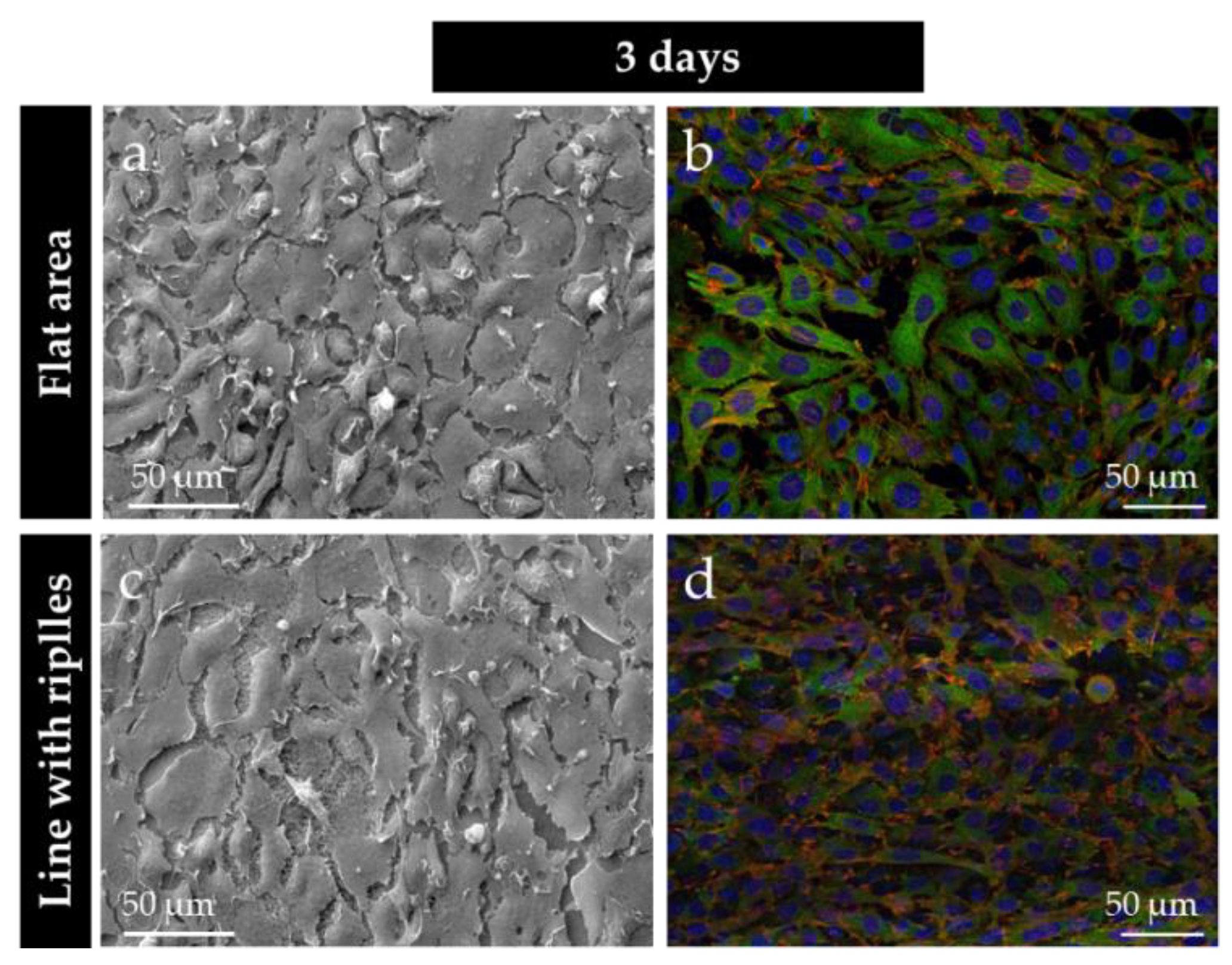 Coatings 09 00854 g009