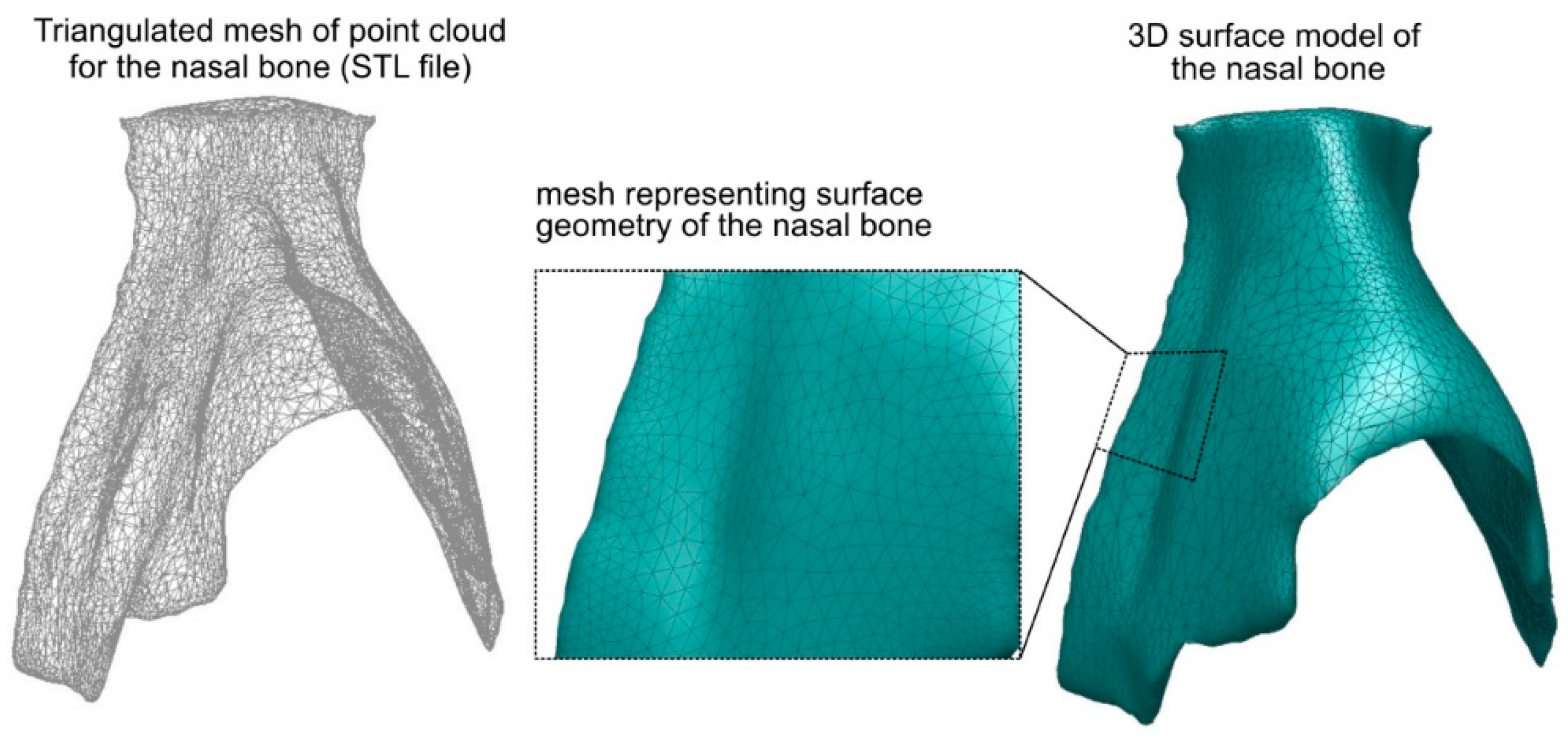 Coatings 09 00855 g004