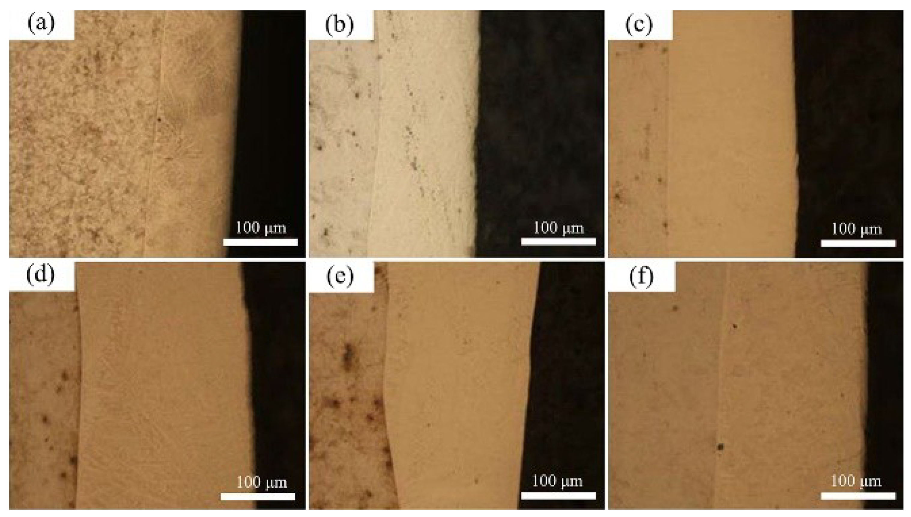 Coatings 09 00856 g003