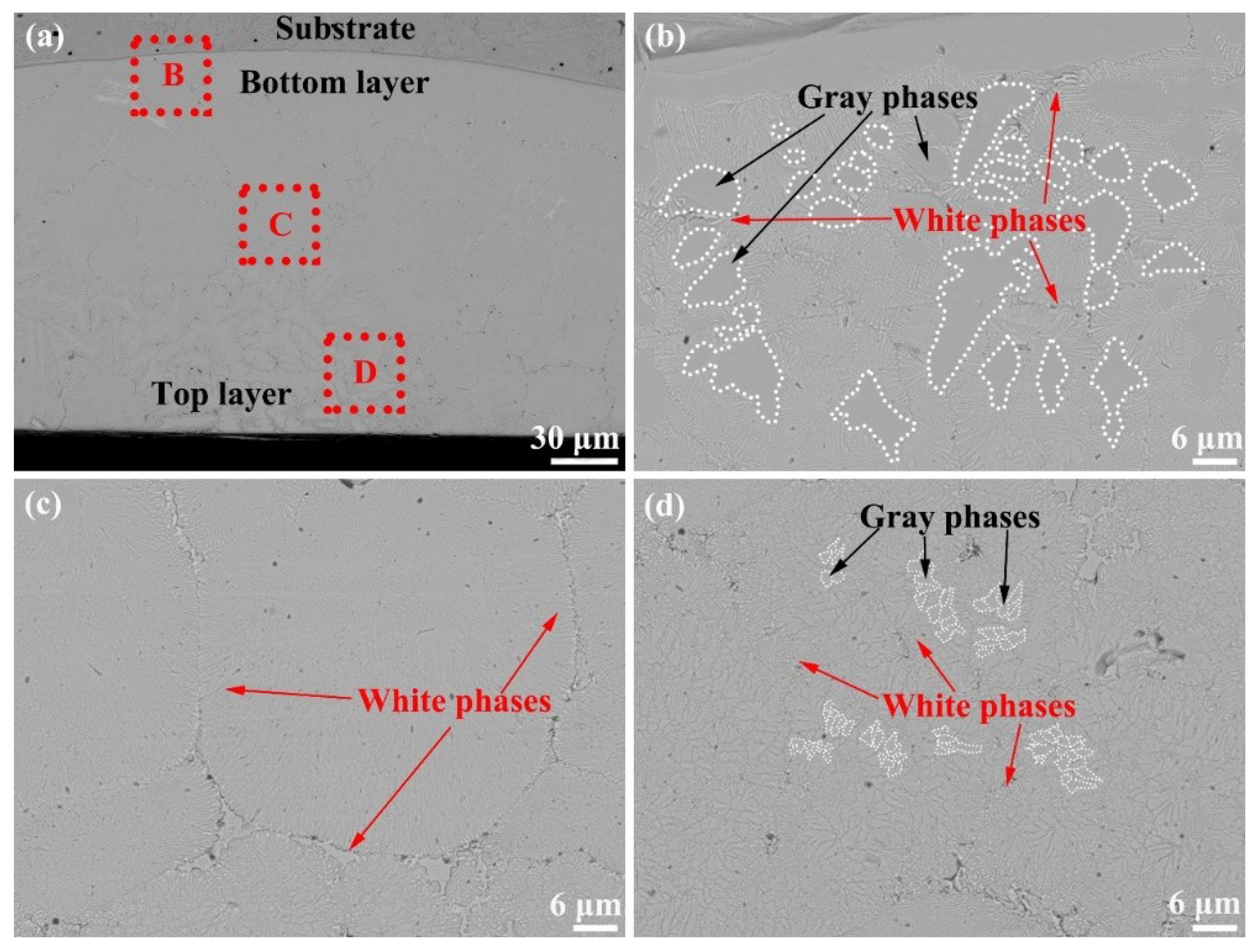 Coatings 09 00856 g004
