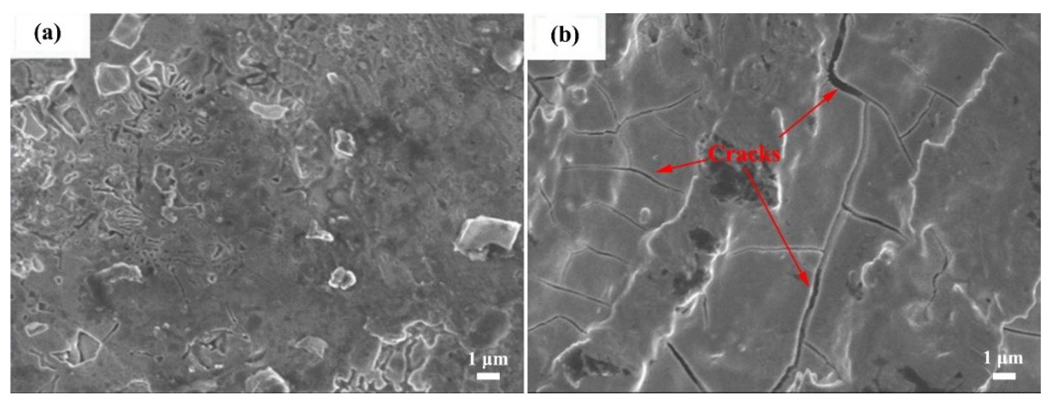 Coatings 09 00856 g013