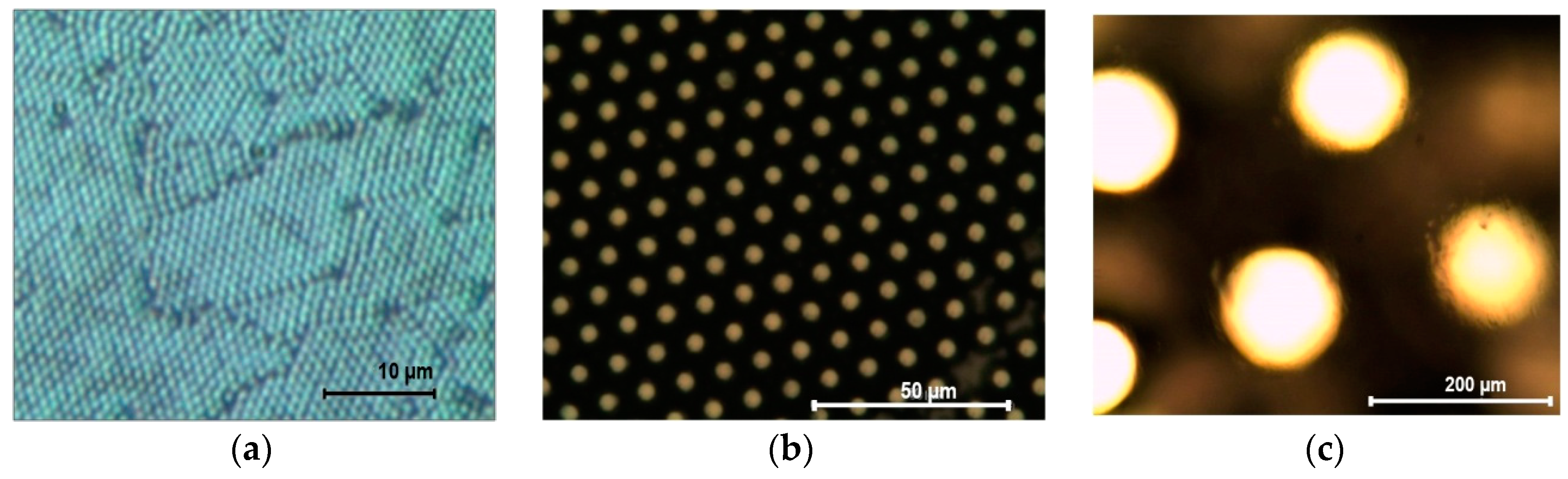 Coatings 09 00857 g003 Coatings 09 00857 g003