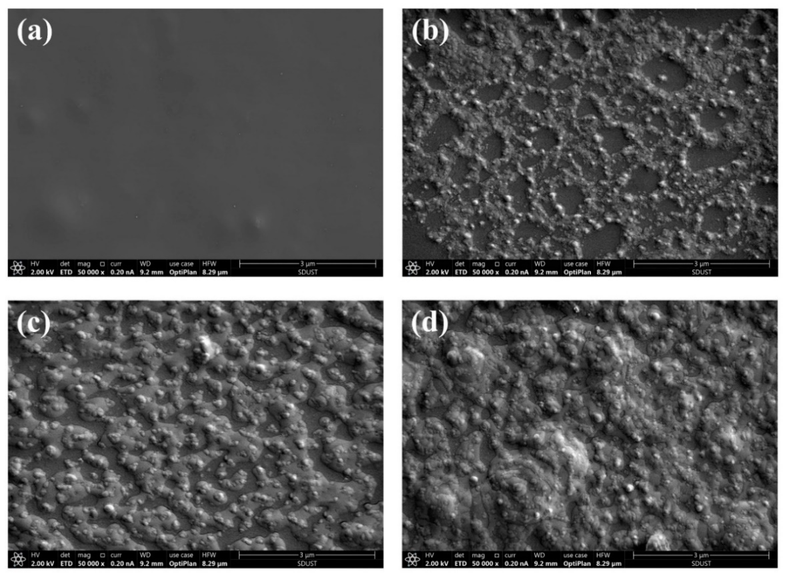 Coatings 09 00861 g011 Coatings 09 00861 g011