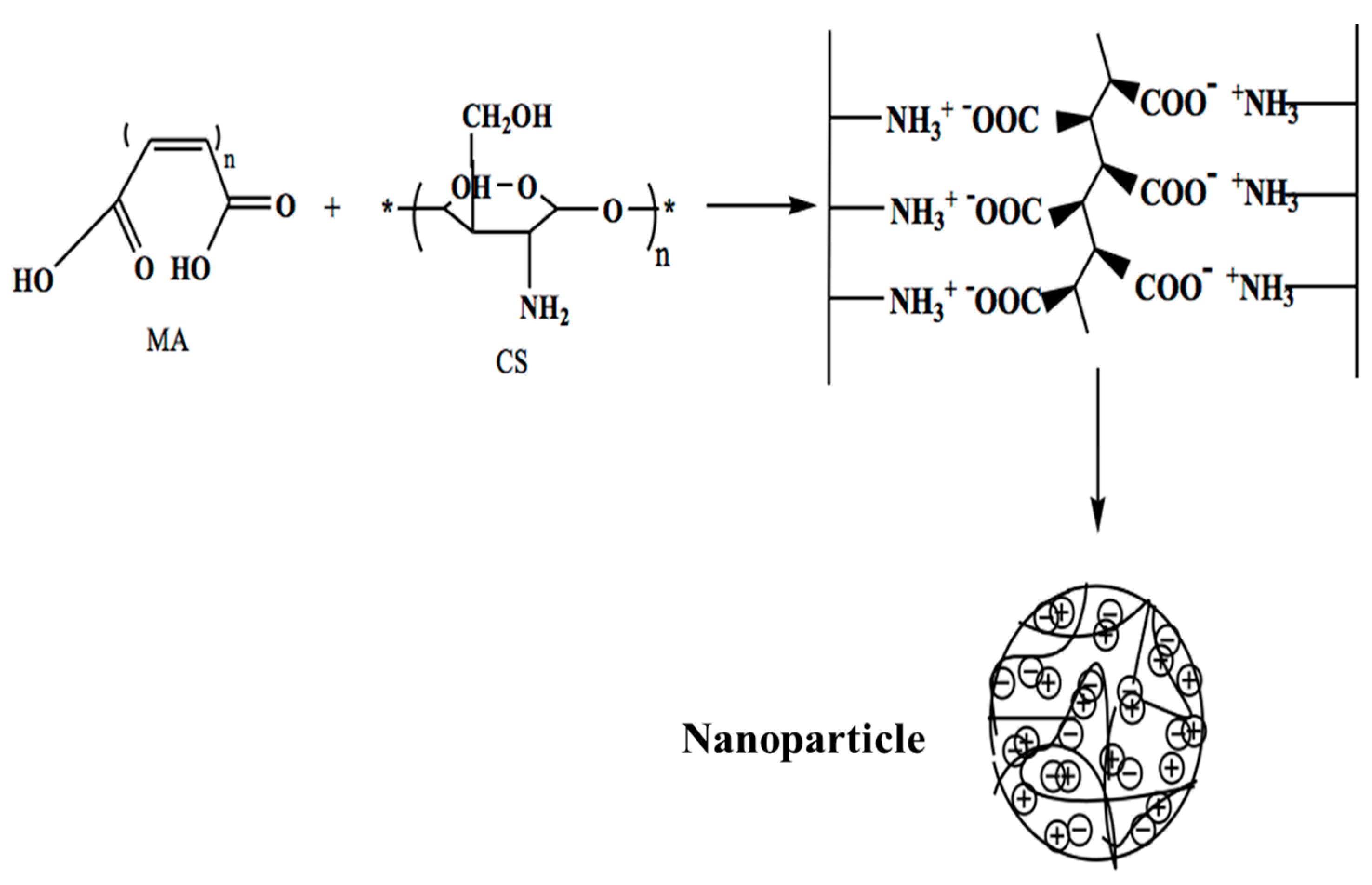 Coatings 09 00862 g002