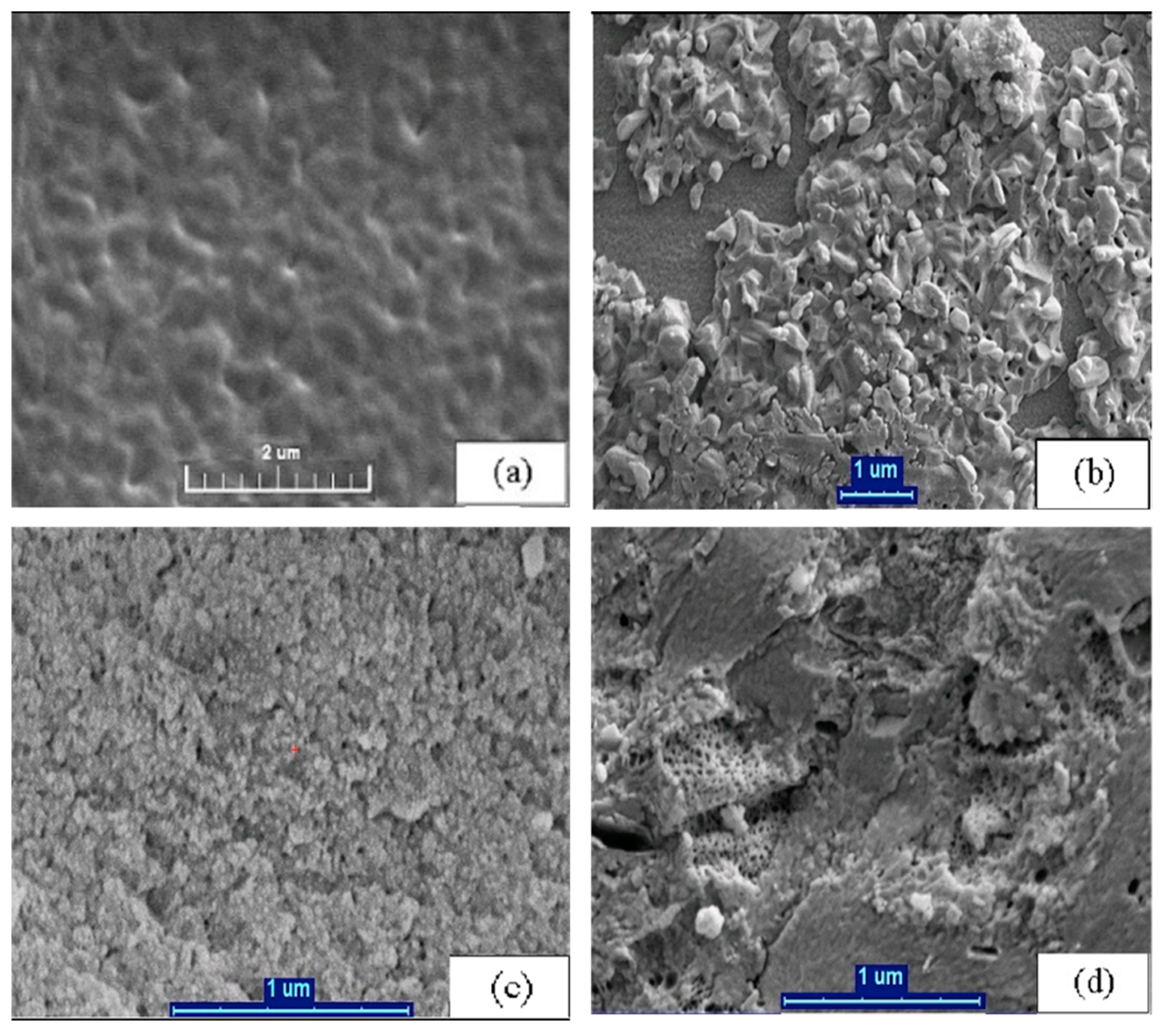 Coatings 09 00862 g003