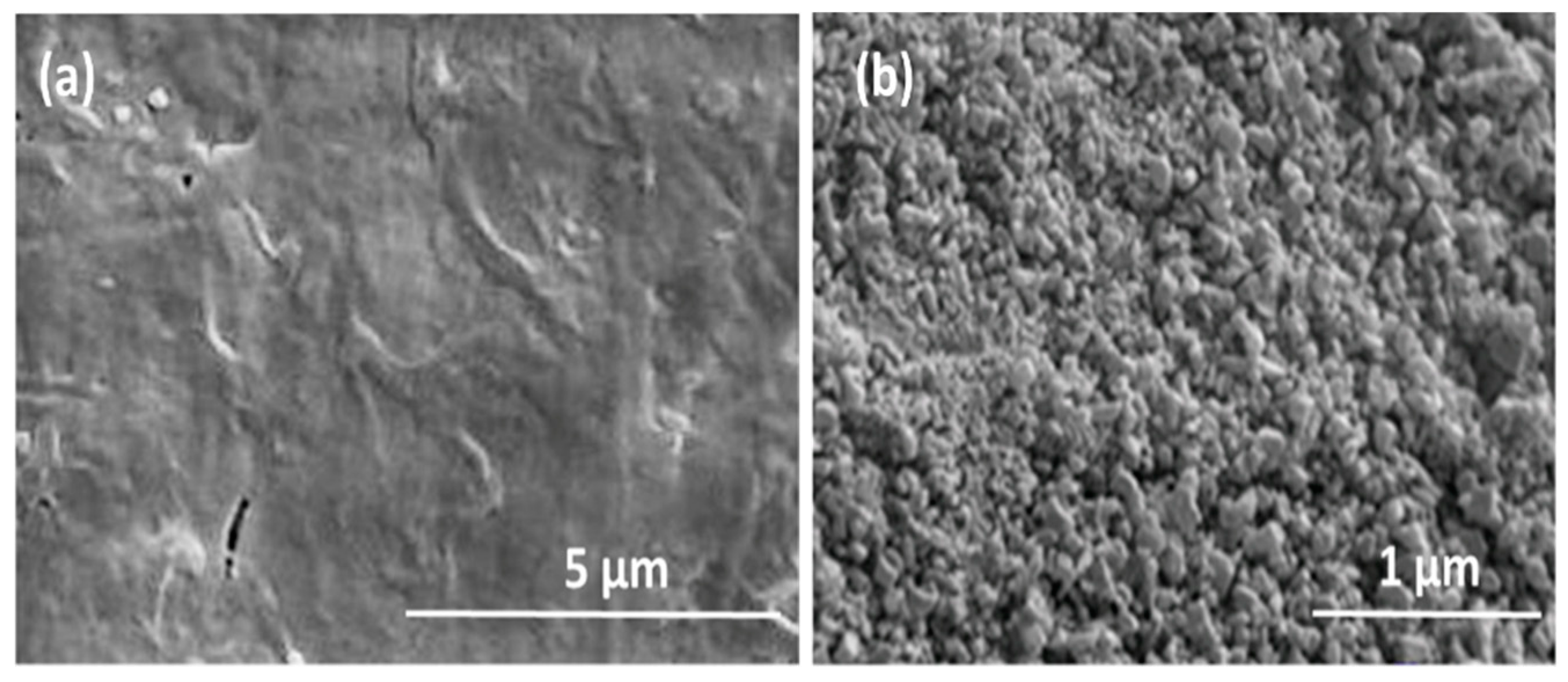 Coatings 09 00862 g005