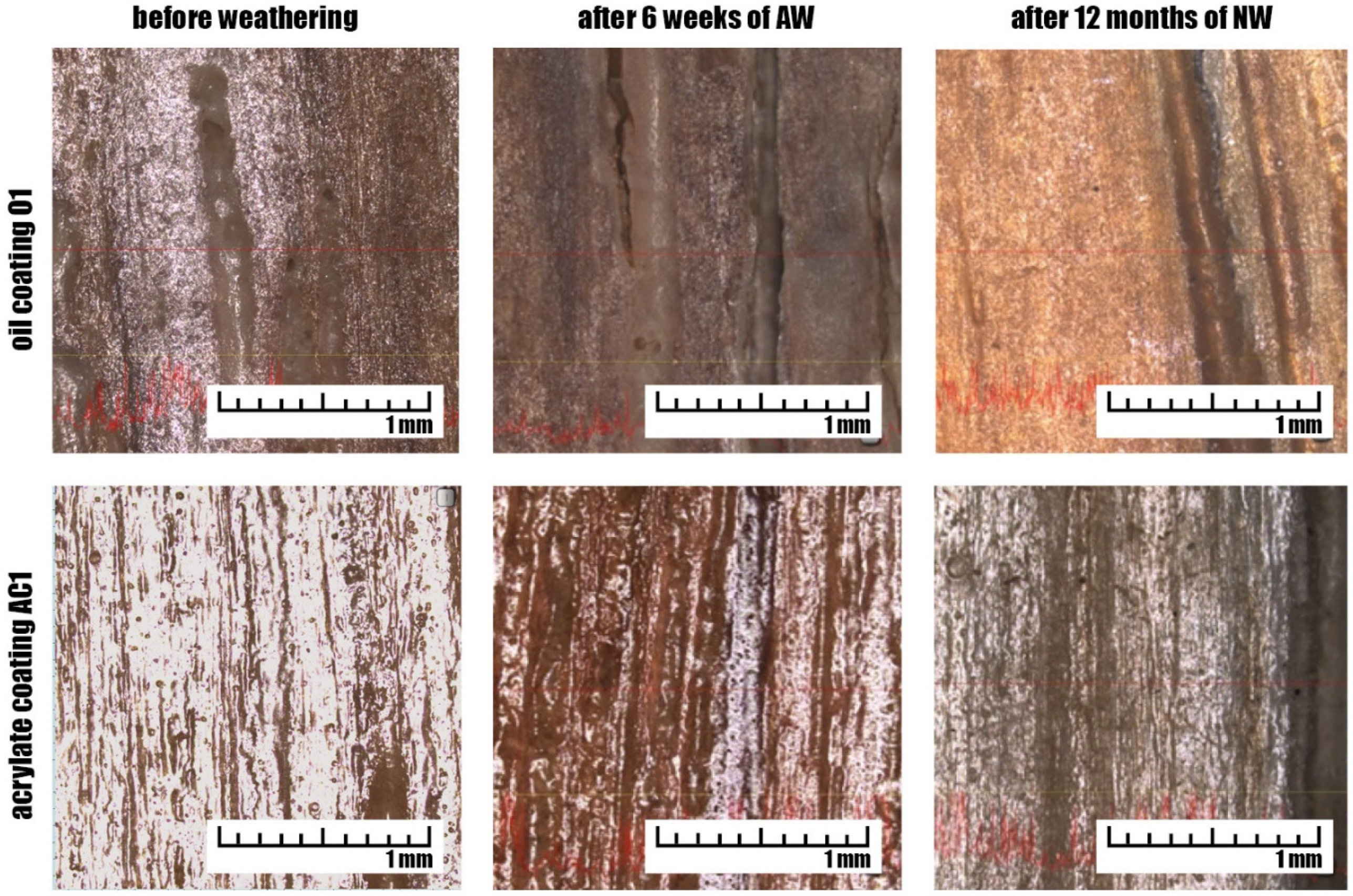 Coatings 09 00864 g007 Coatings 09 00864 g007