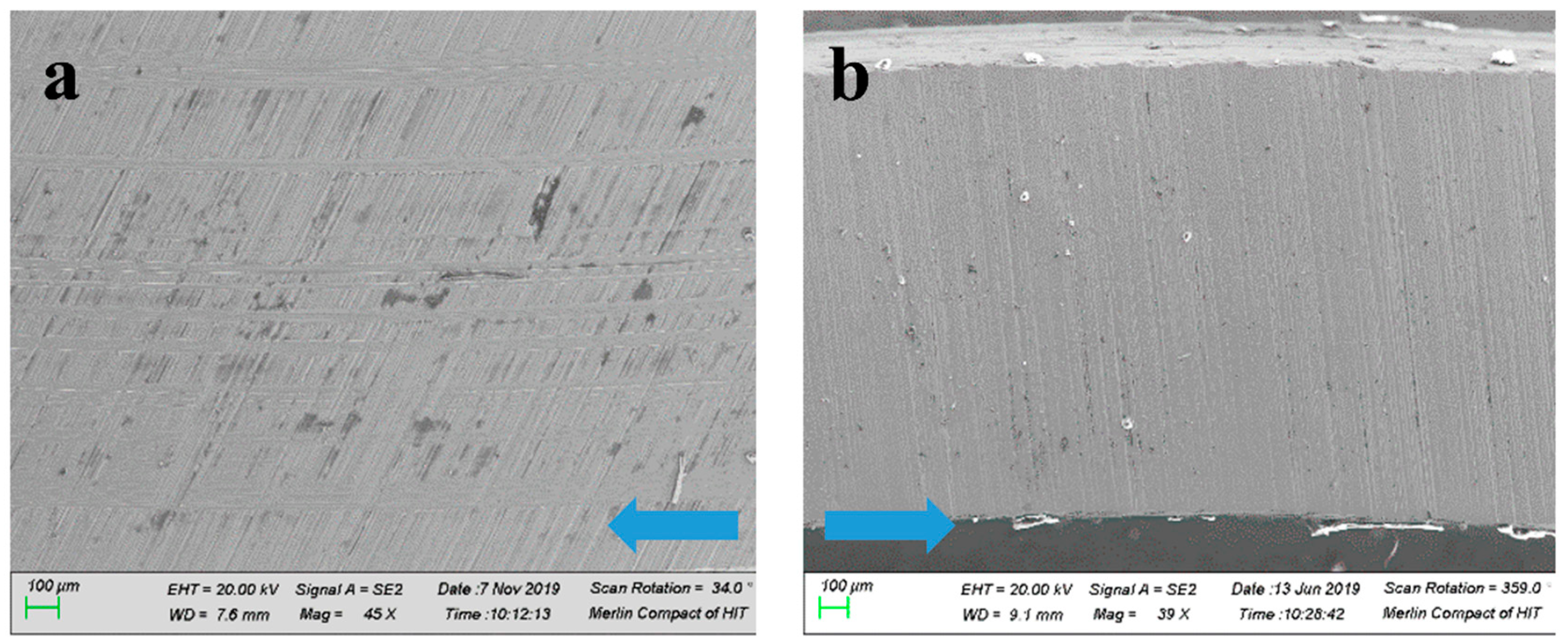 Coatings 10 00001 g011