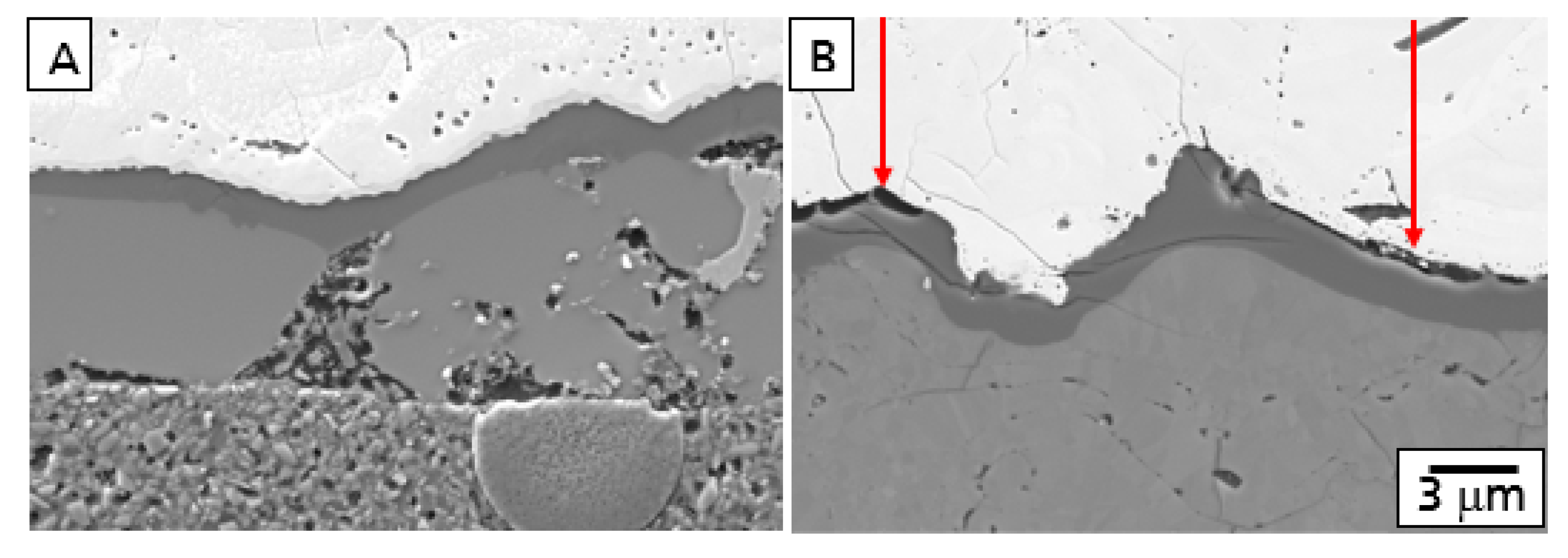 Coatings 10 00006 g001