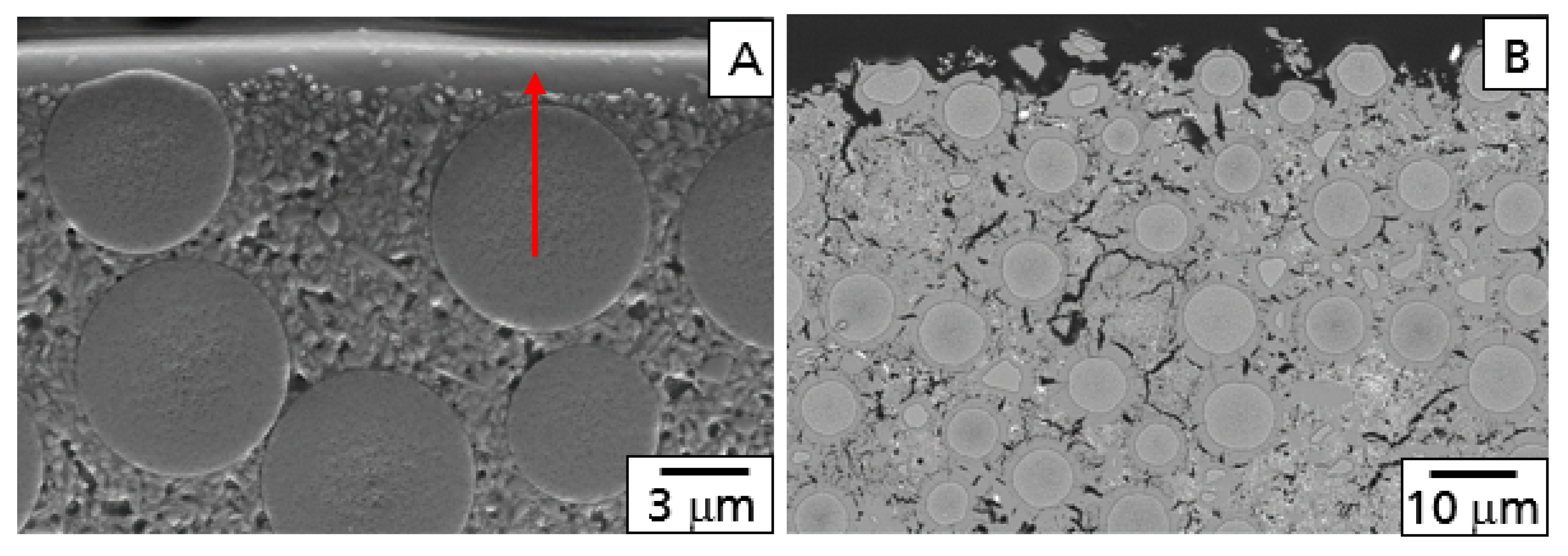 Coatings 10 00006 g002