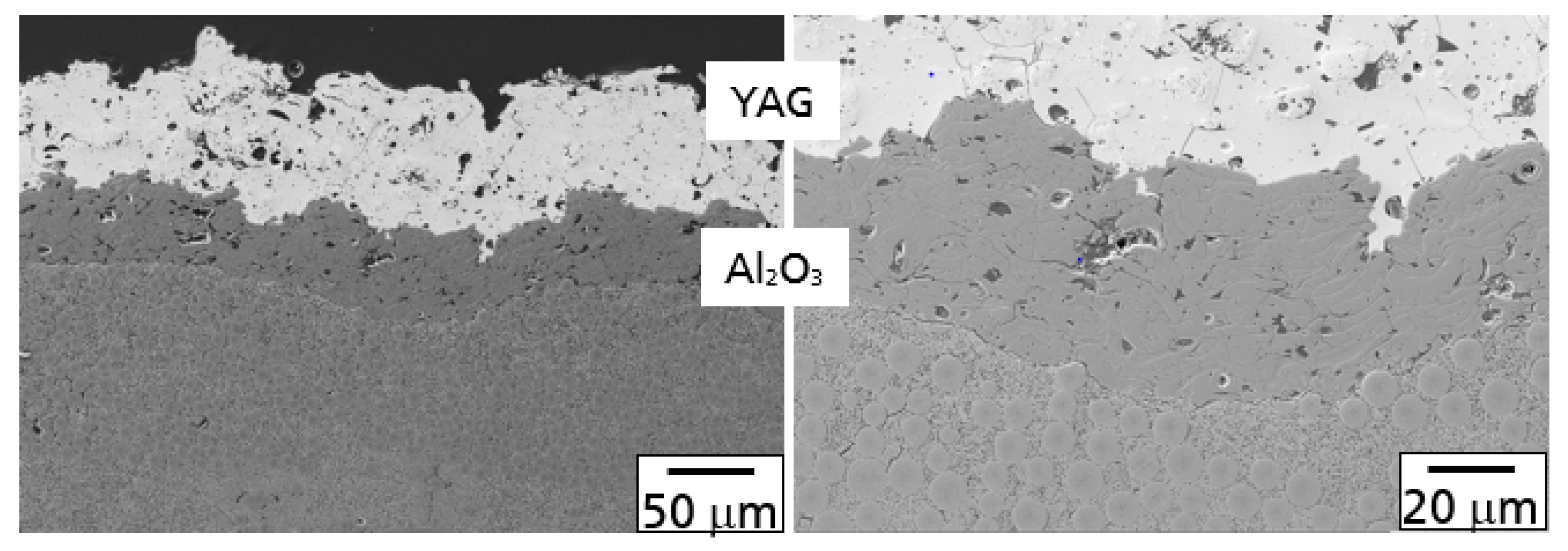 Coatings 10 00006 g003