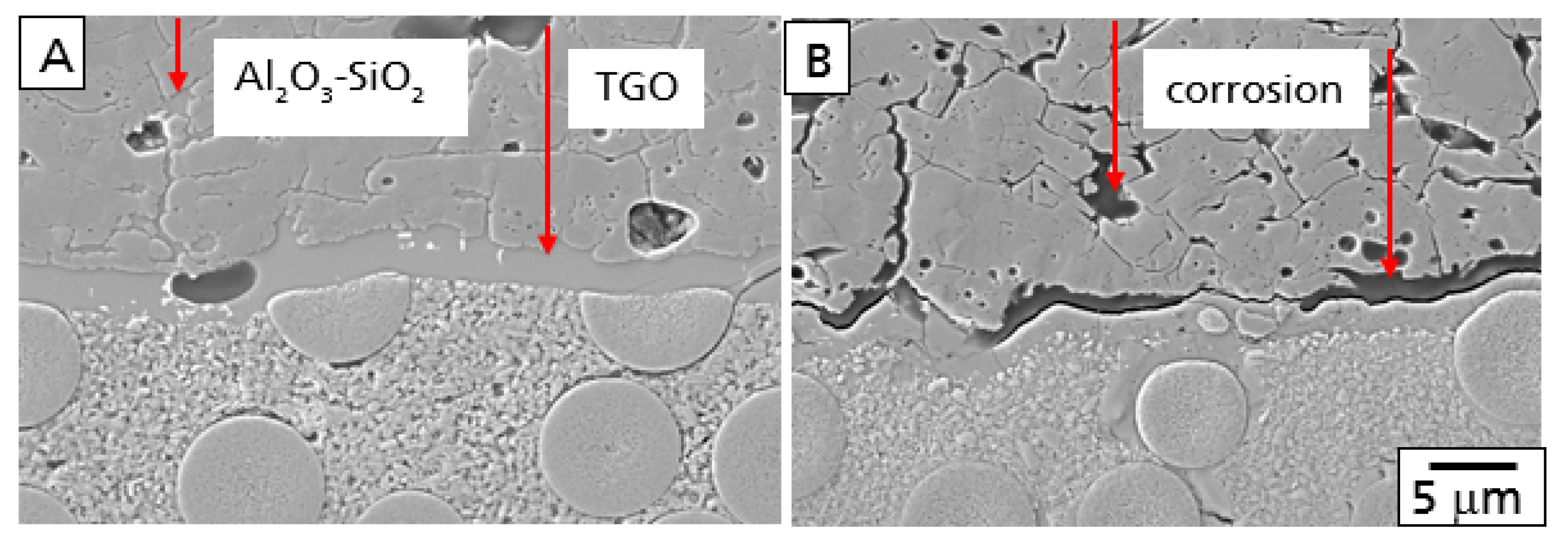 Coatings 10 00006 g004