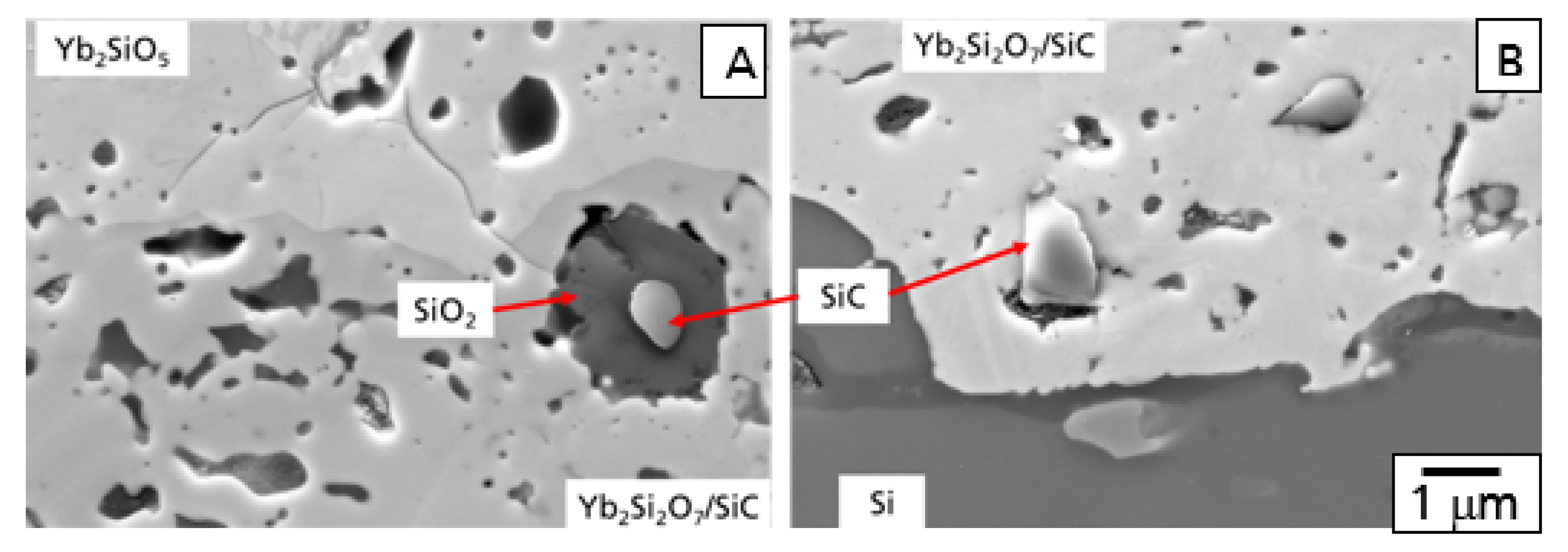 Coatings 10 00006 g006