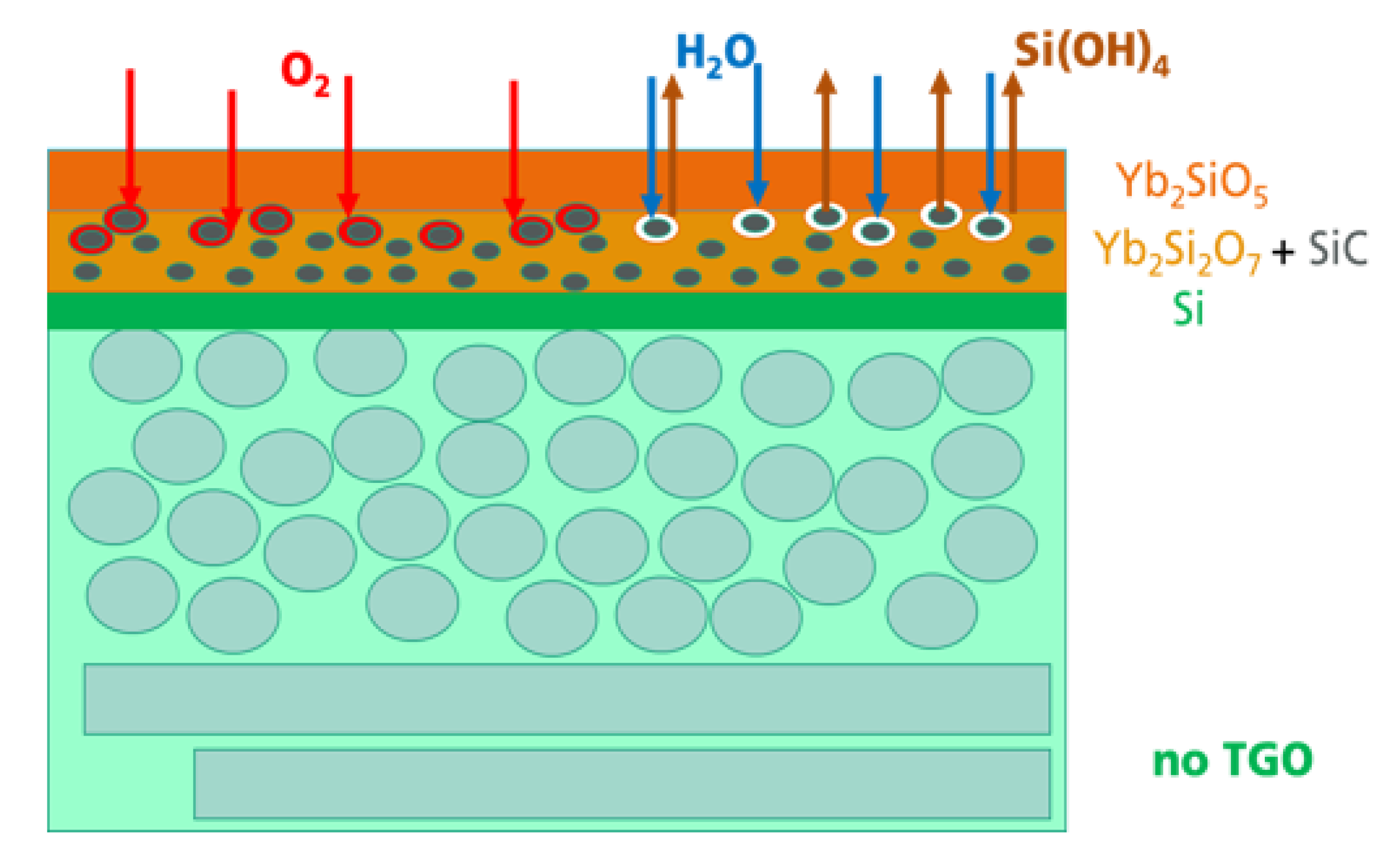 Coatings 10 00006 g008