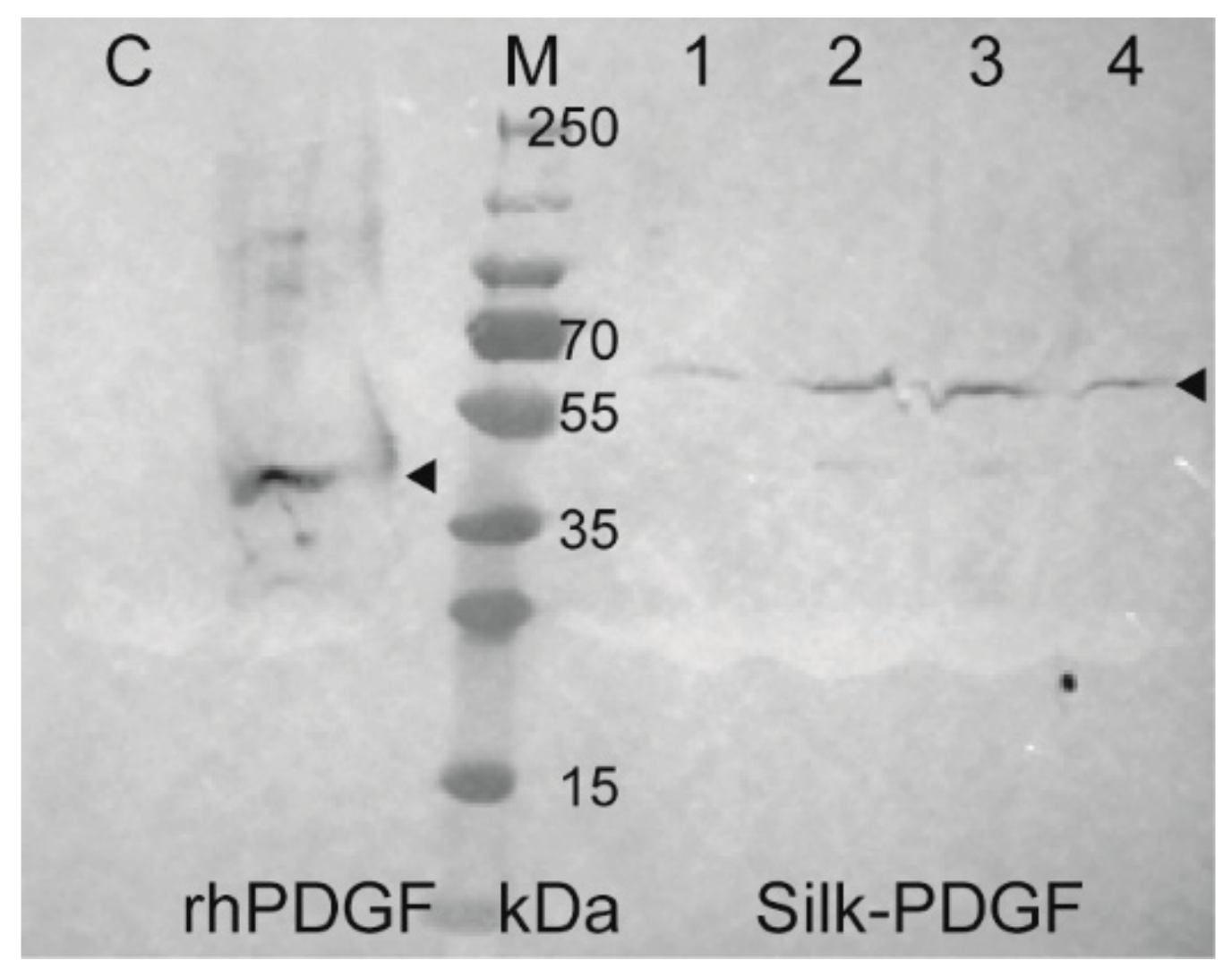 Coatings 10 00008 g002 Coatings 10 00008 g002