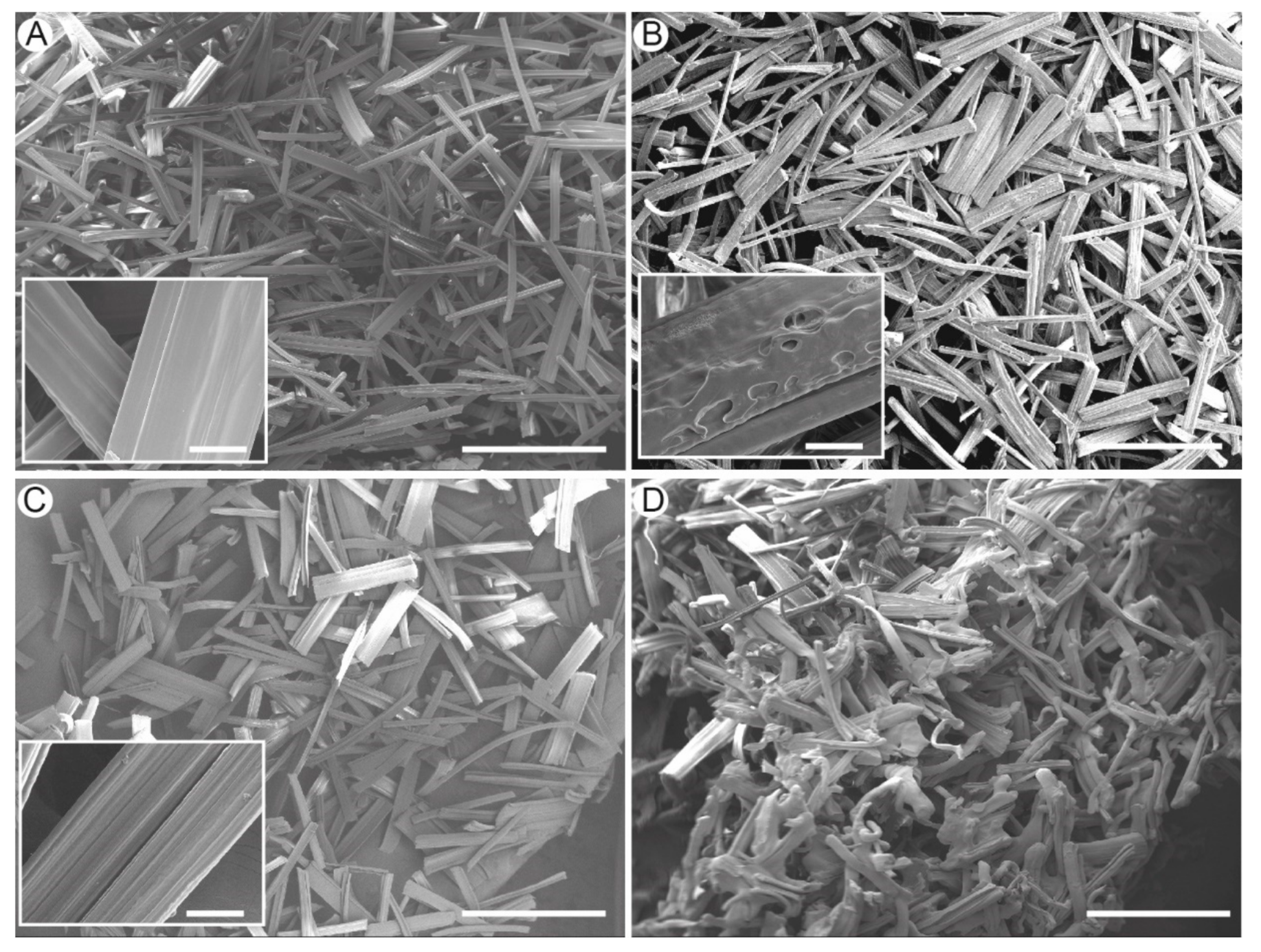 Coatings 10 00008 g004 Coatings 10 00008 g004