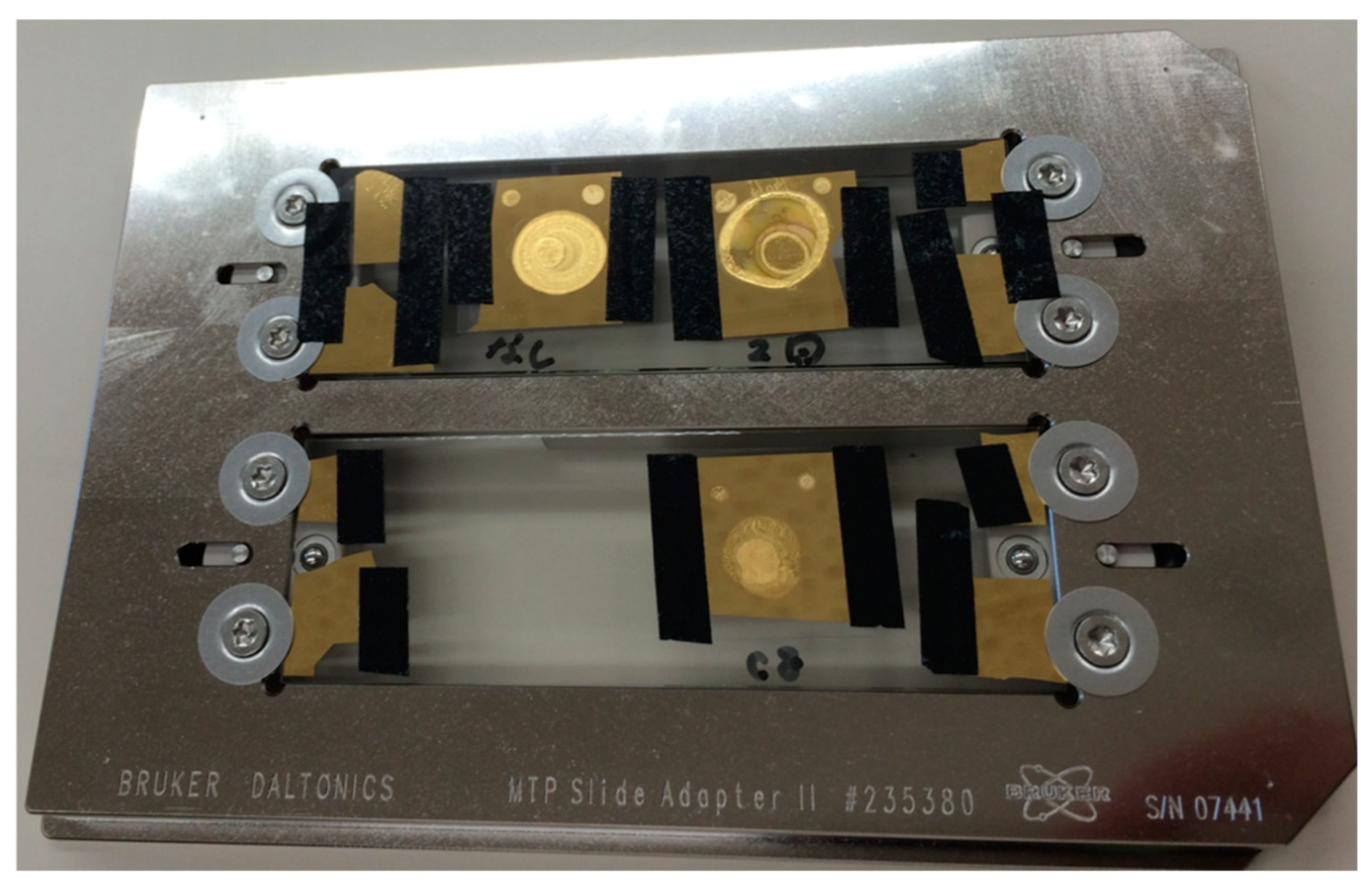 Coatings 10 00012 g002 Coatings 10 00012 g002