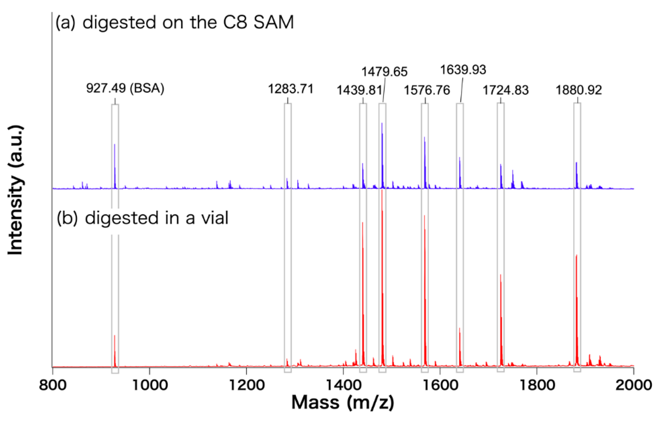 Coatings 10 00012 g004 Coatings 10 00012 g004