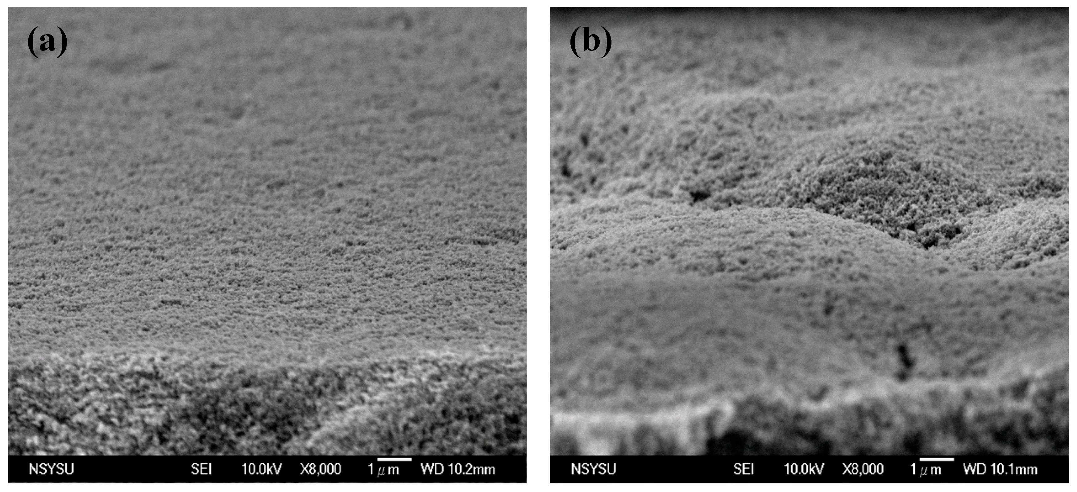 Coatings 10 00013 g005 Coatings 10 00013 g005