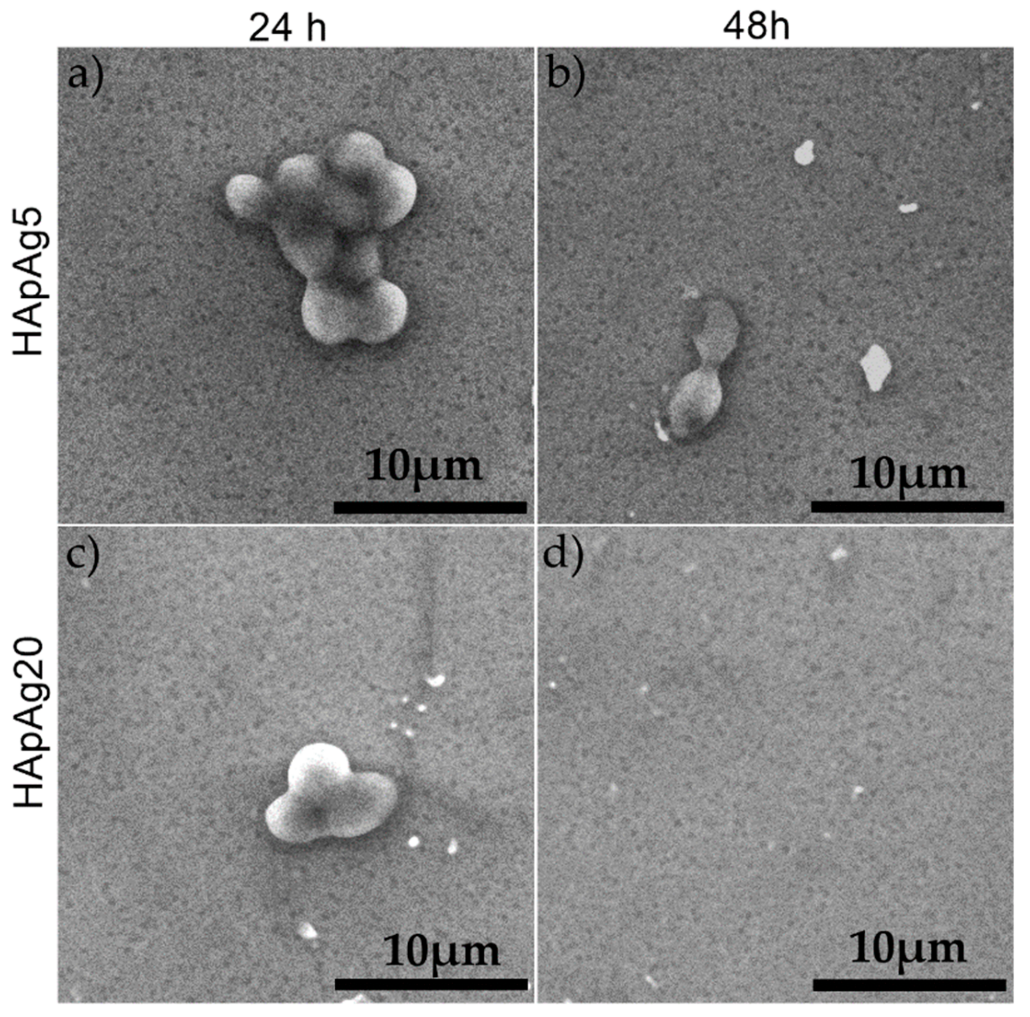 Coatings 10 00014 g008 Coatings 10 00014 g008
