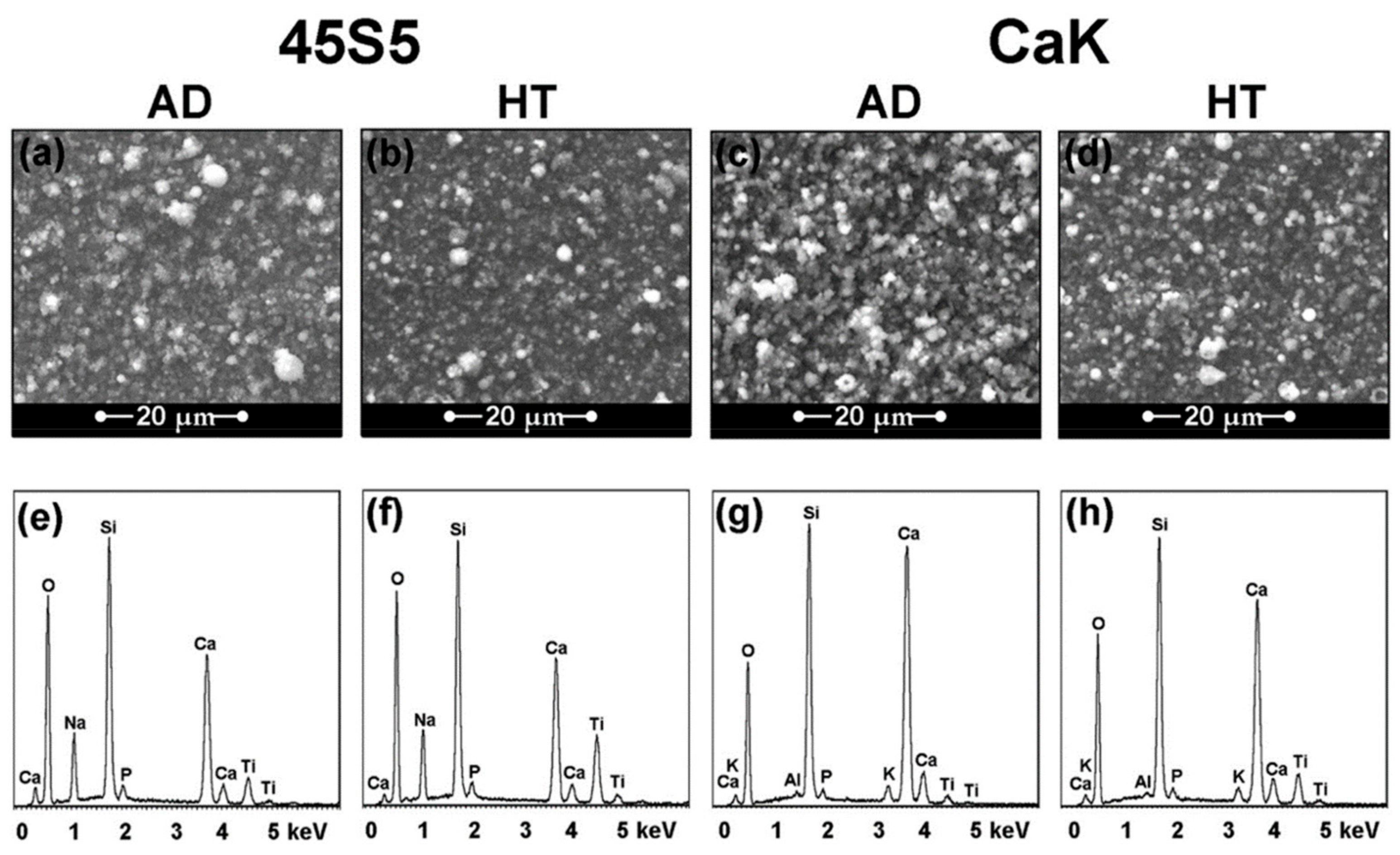 Coatings 10 00016 g008