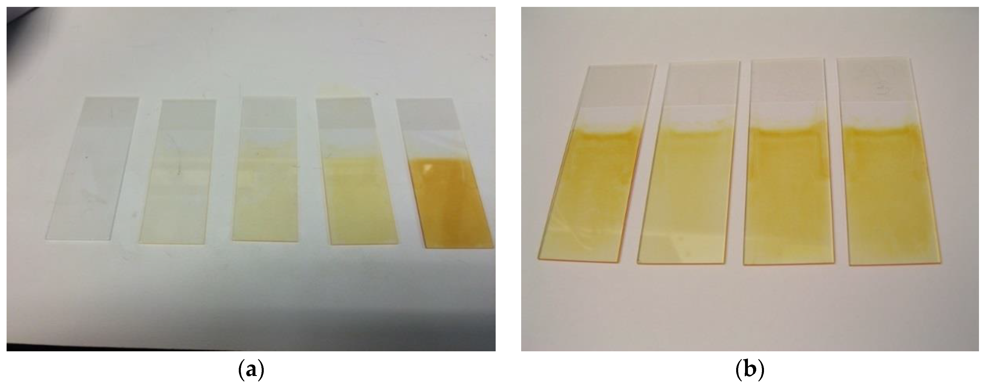 Coatings 10 00018 g003 Coatings 10 00018 g003