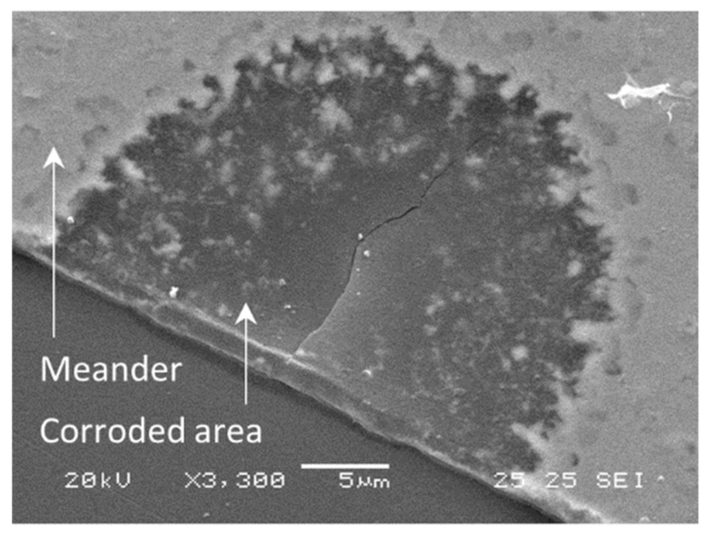 Coatings 10 00019 g006