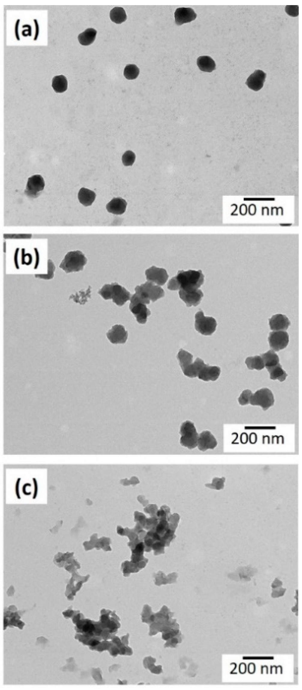 Coatings 10 00022 g002 Coatings 10 00022 g002