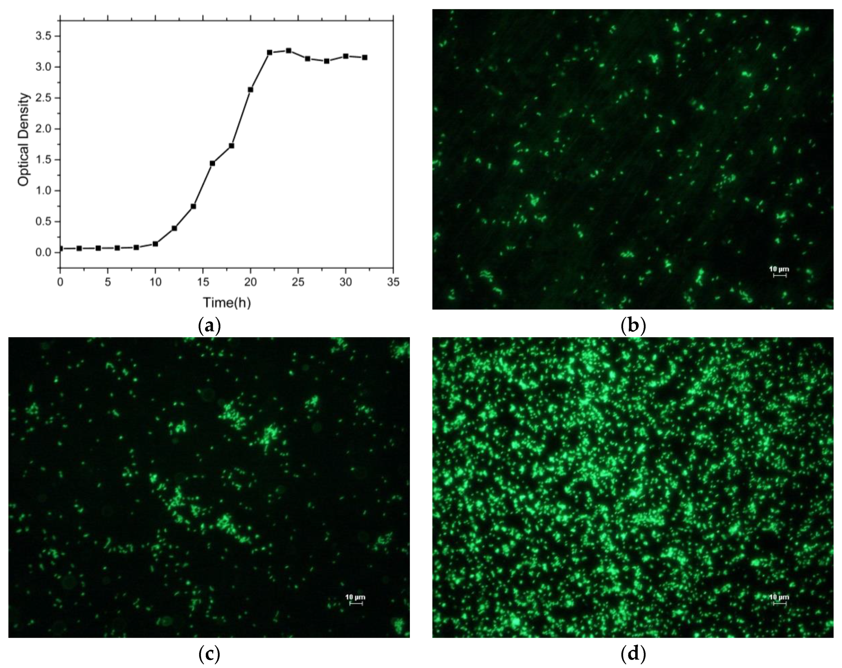 Coatings 10 00024 g001 Coatings 10 00024 g001